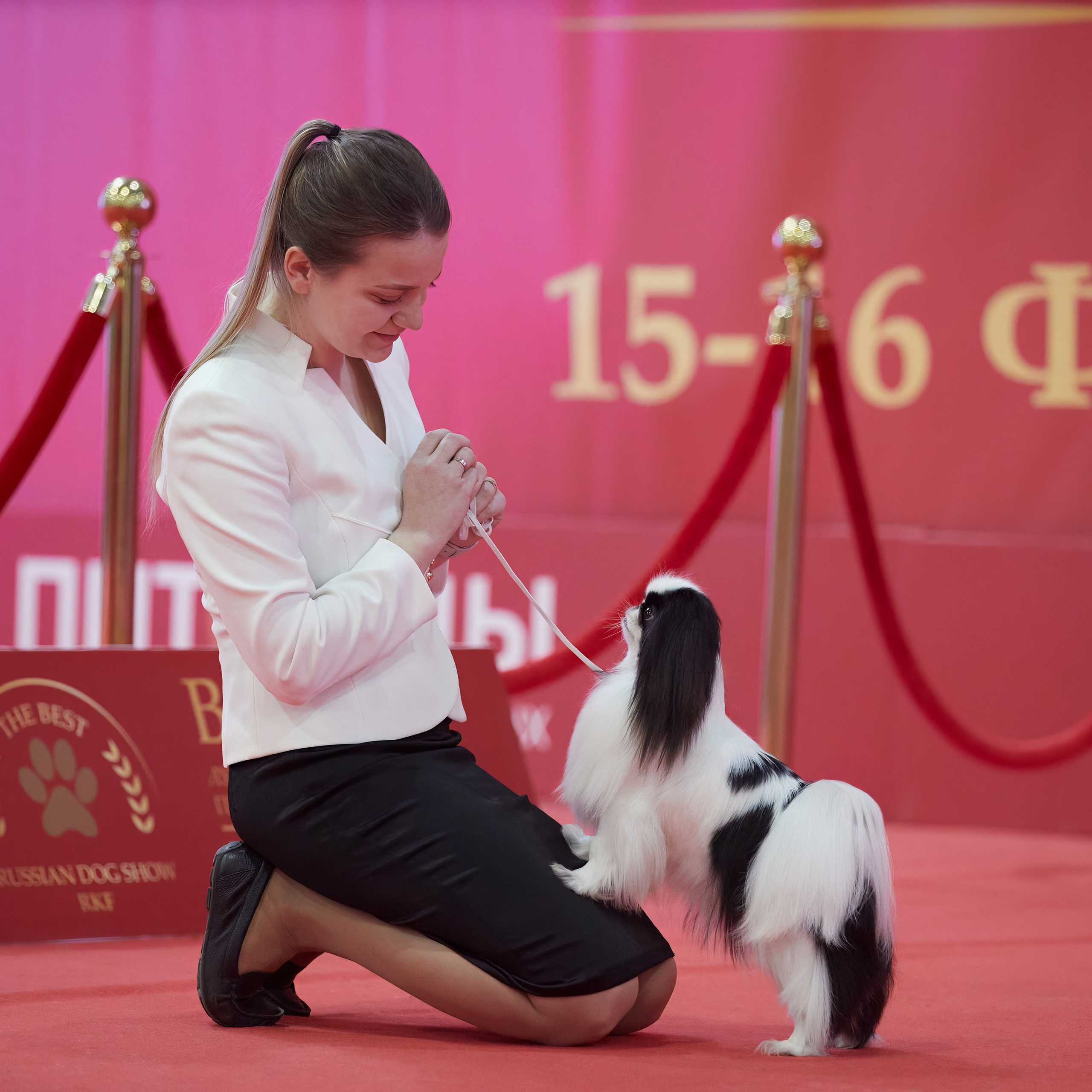 Шоу чемпионов «ЛУЧШИЕ СОБАКИ РОССИИ». ФОТОГРАФ-АНИМАЛИСТ l LANA POLYAKOVA