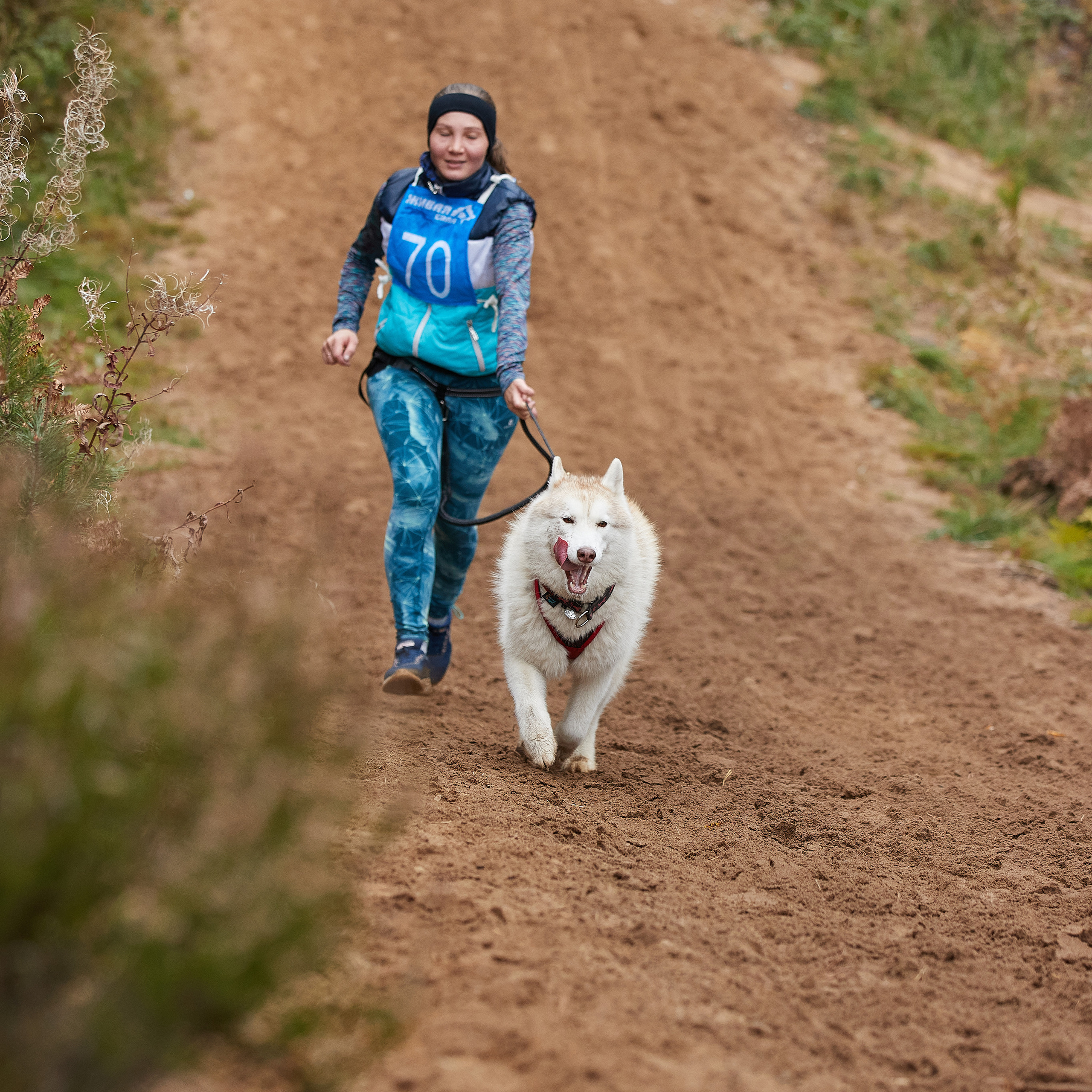 ЧЕМПИОНАТ РОССИИ РКФ 25–26 сентября 2021 г. ФОТОГРАФ-АНИМАЛИСТ l LANA POLYAKOVA
