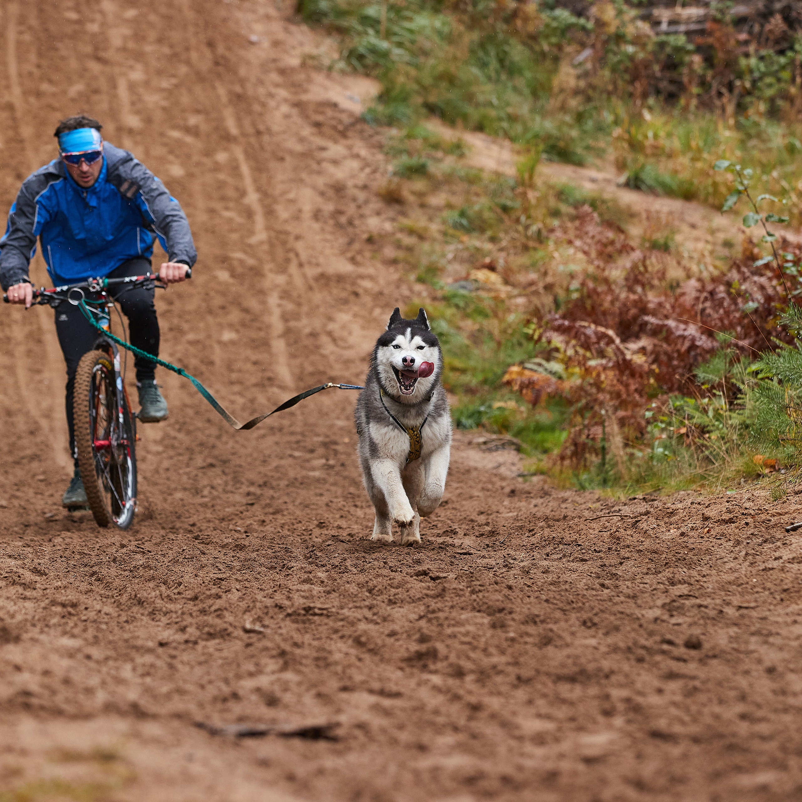 ЧЕМПИОНАТ РОССИИ РКФ 25–26 сентября 2021 г. ФОТОГРАФ-АНИМАЛИСТ l LANA POLYAKOVA