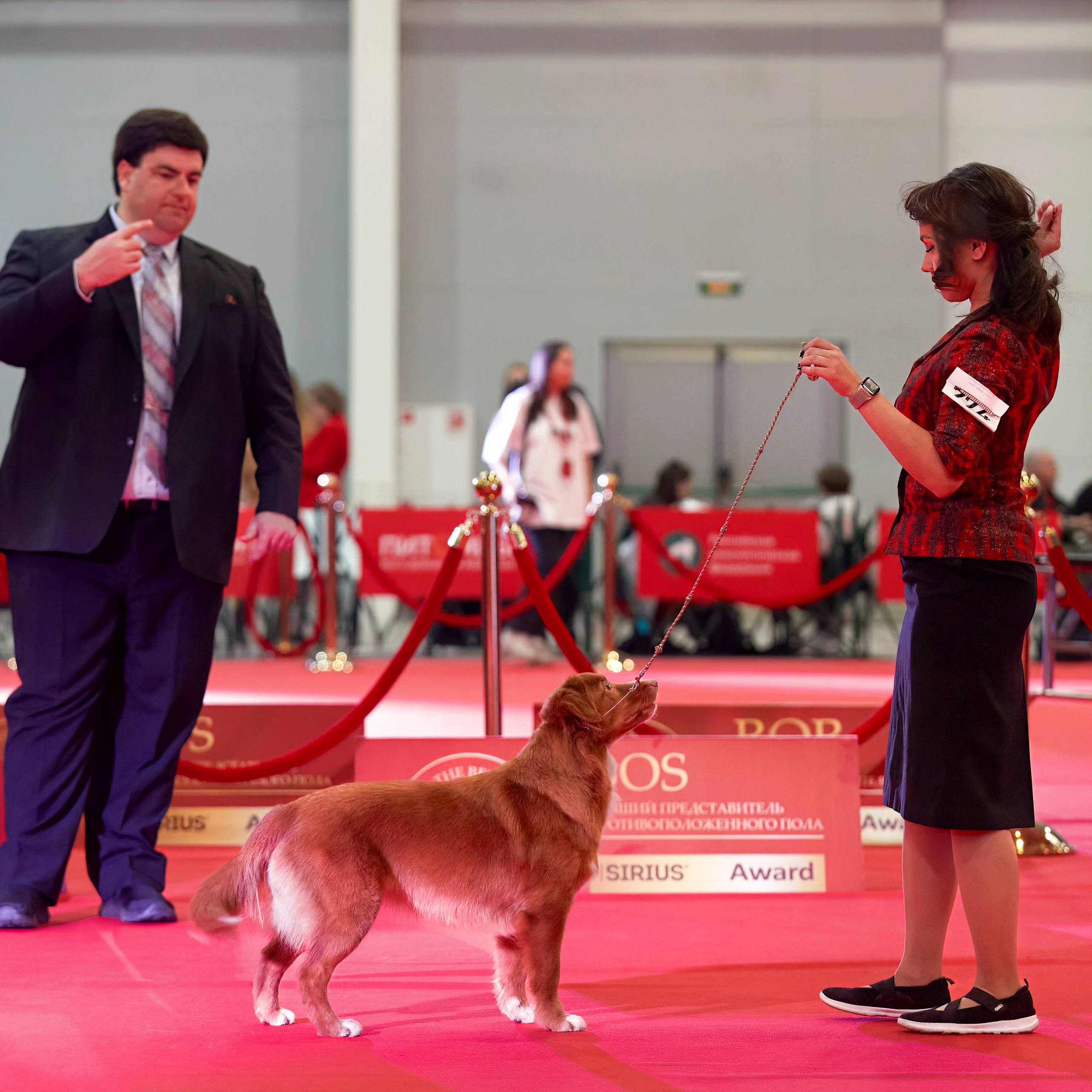 Шоу чемпионов «ЛУЧШИЕ СОБАКИ РОССИИ». ФОТОГРАФ-АНИМАЛИСТ l LANA POLYAKOVA