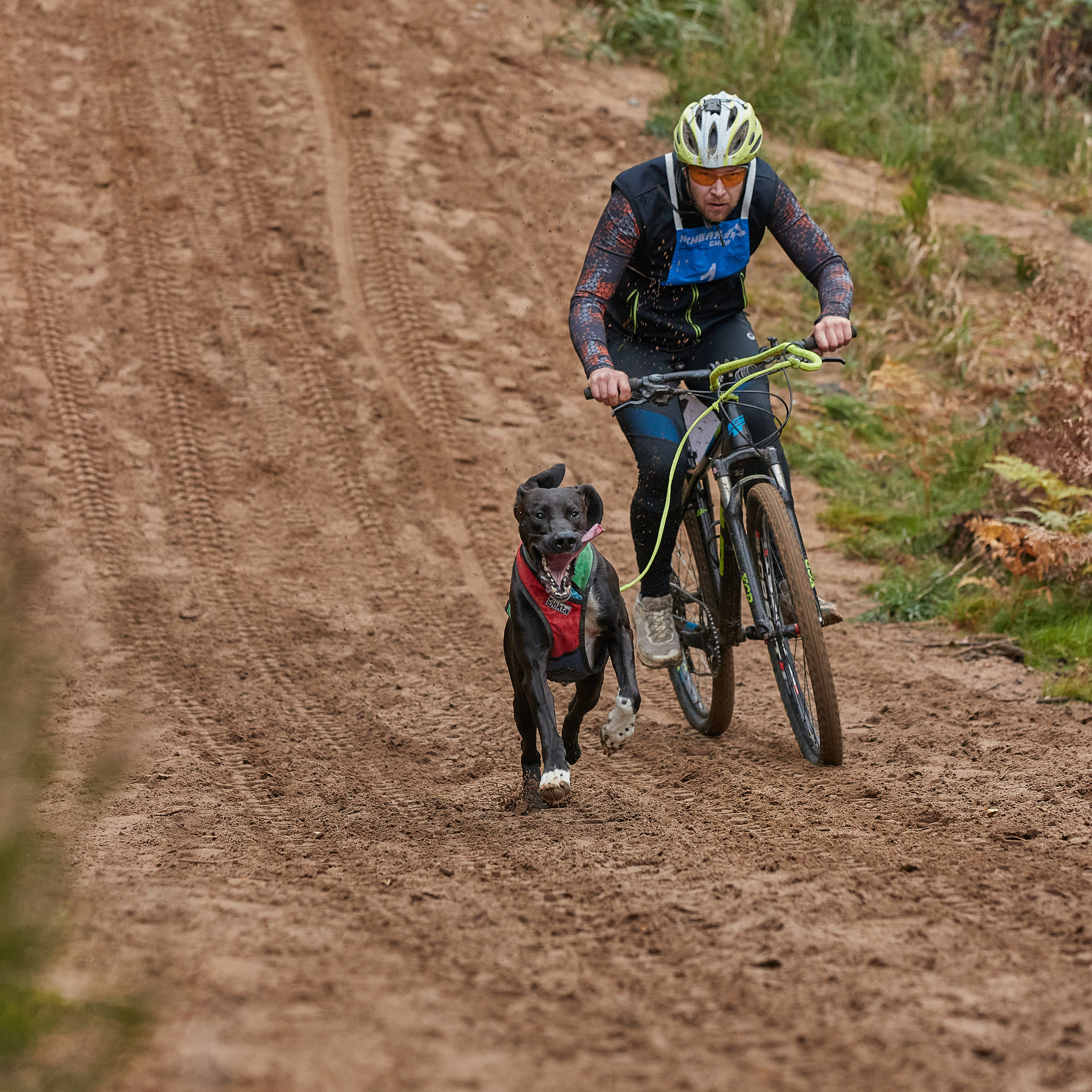 ЧЕМПИОНАТ РОССИИ РКФ 25–26 сентября 2021 г. ФОТОГРАФ-АНИМАЛИСТ l LANA POLYAKOVA
