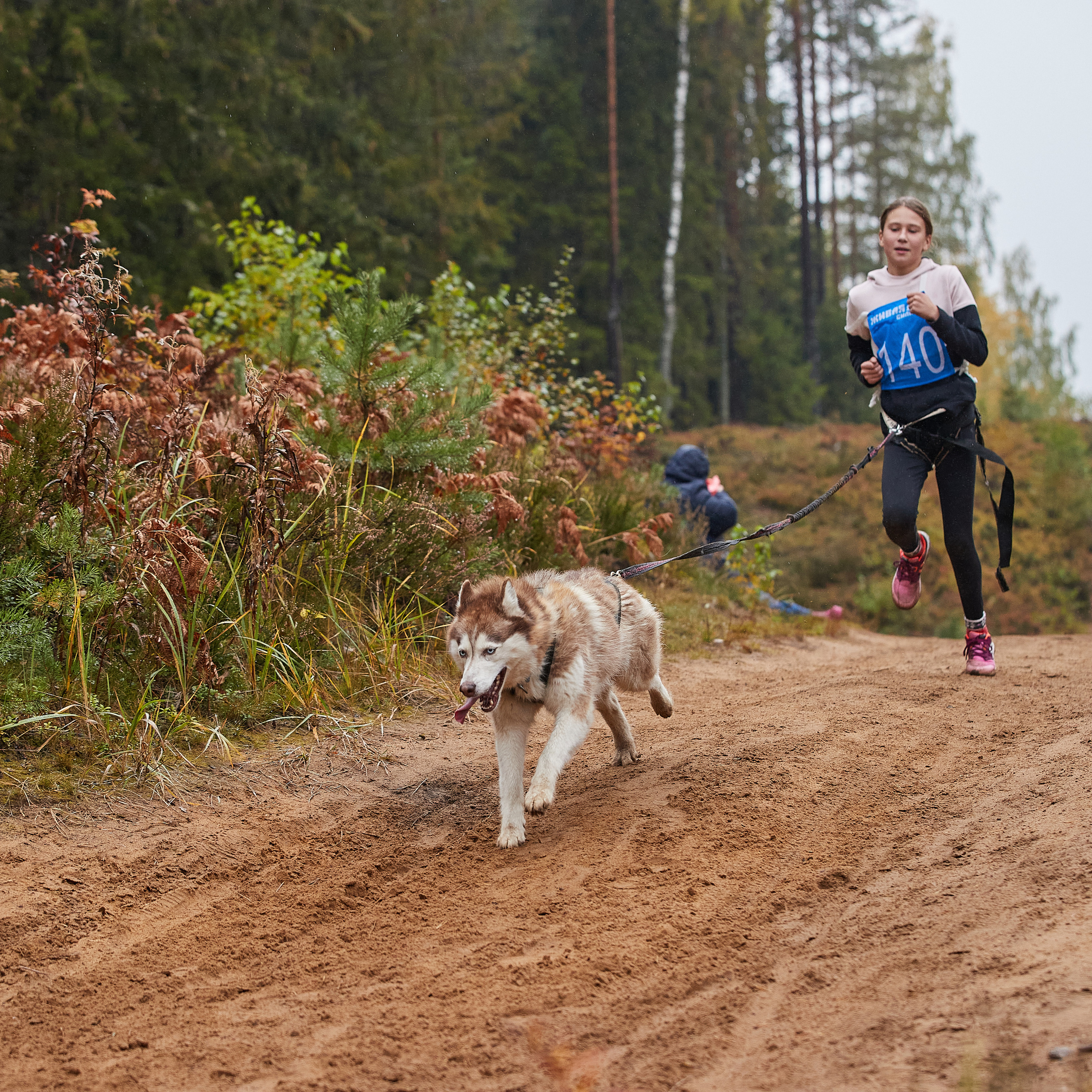 ЧЕМПИОНАТ РОССИИ РКФ 25–26 сентября 2021 г. ФОТОГРАФ-АНИМАЛИСТ l LANA POLYAKOVA