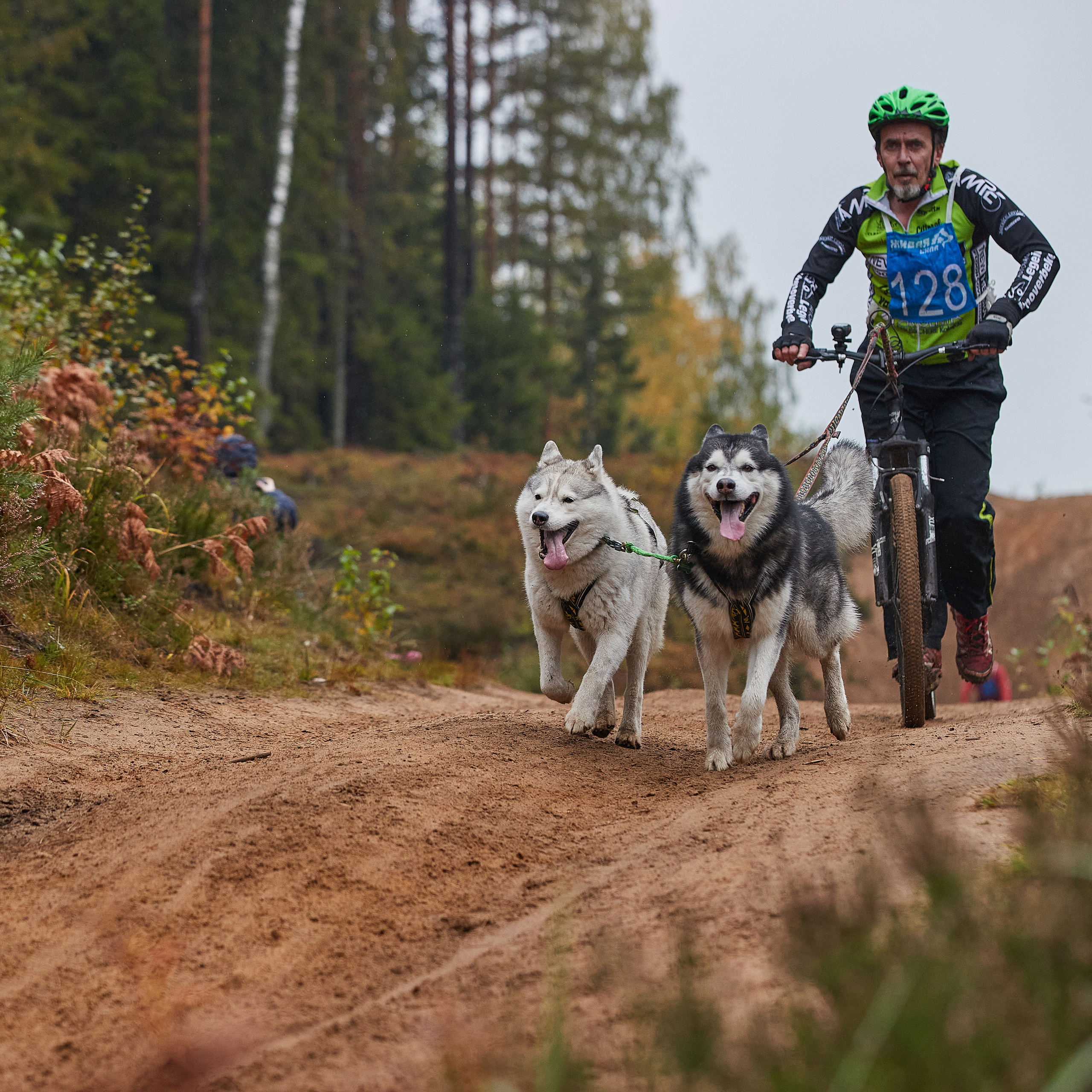 ЧЕМПИОНАТ РОССИИ РКФ 25–26 сентября 2021 г. ФОТОГРАФ-АНИМАЛИСТ l LANA POLYAKOVA