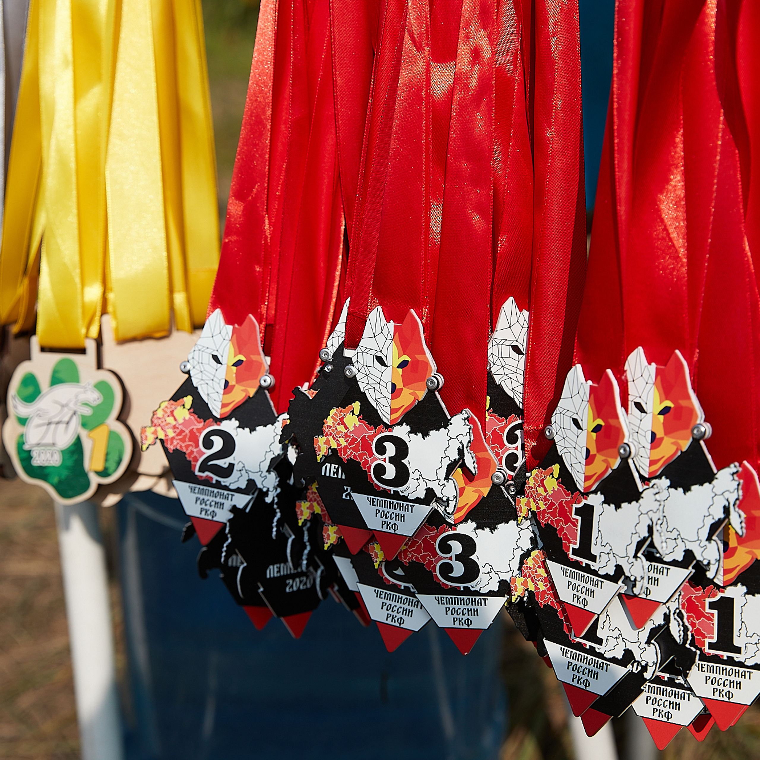 ЧЕМПИОНАТ РОССИИ РКФ 27 сентября 2020 г., 2й день. ФОТОГРАФ-АНИМАЛИСТ l LANA POLYAKOVA