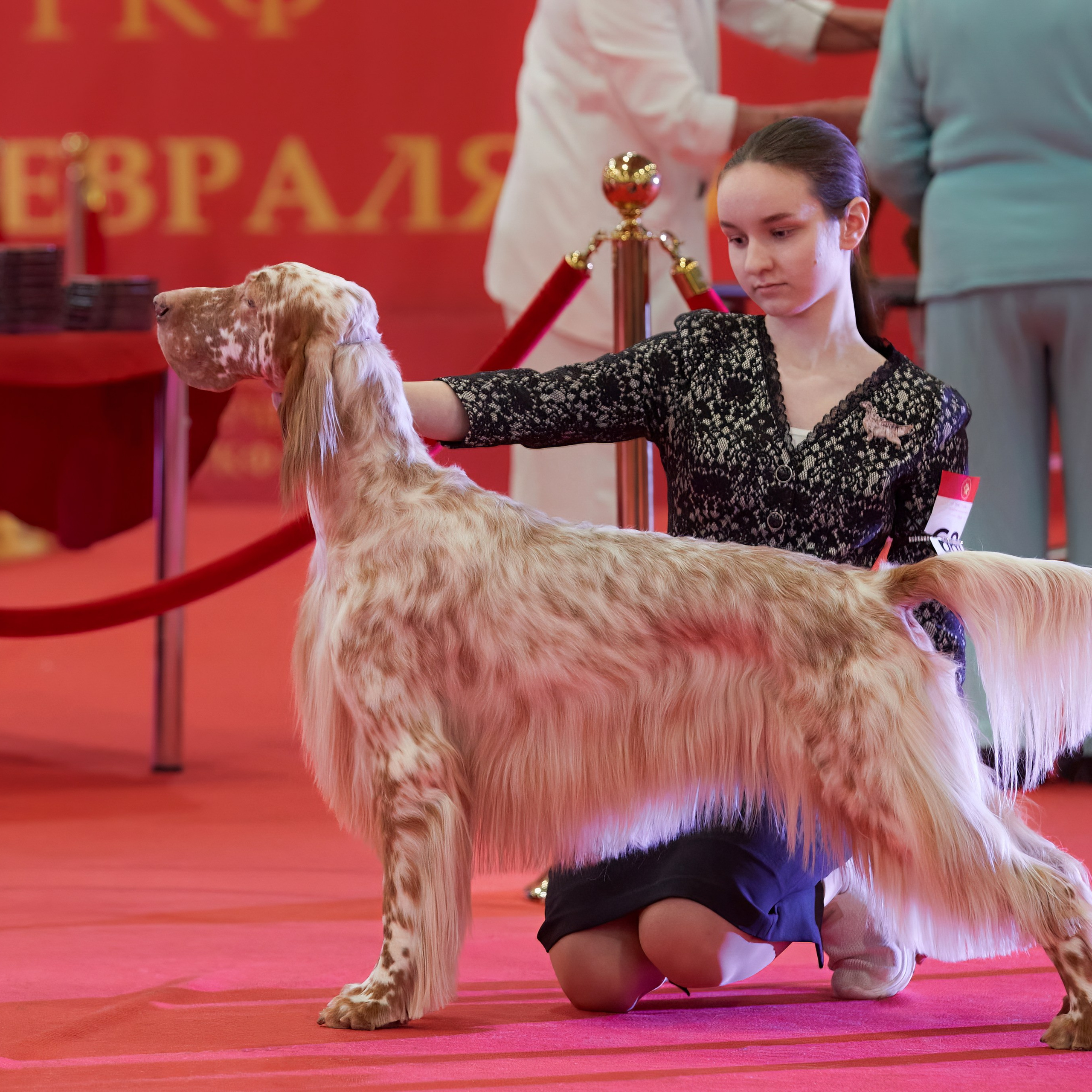 Шоу чемпионов «ЛУЧШИЕ СОБАКИ РОССИИ». ФОТОГРАФ-АНИМАЛИСТ l LANA POLYAKOVA