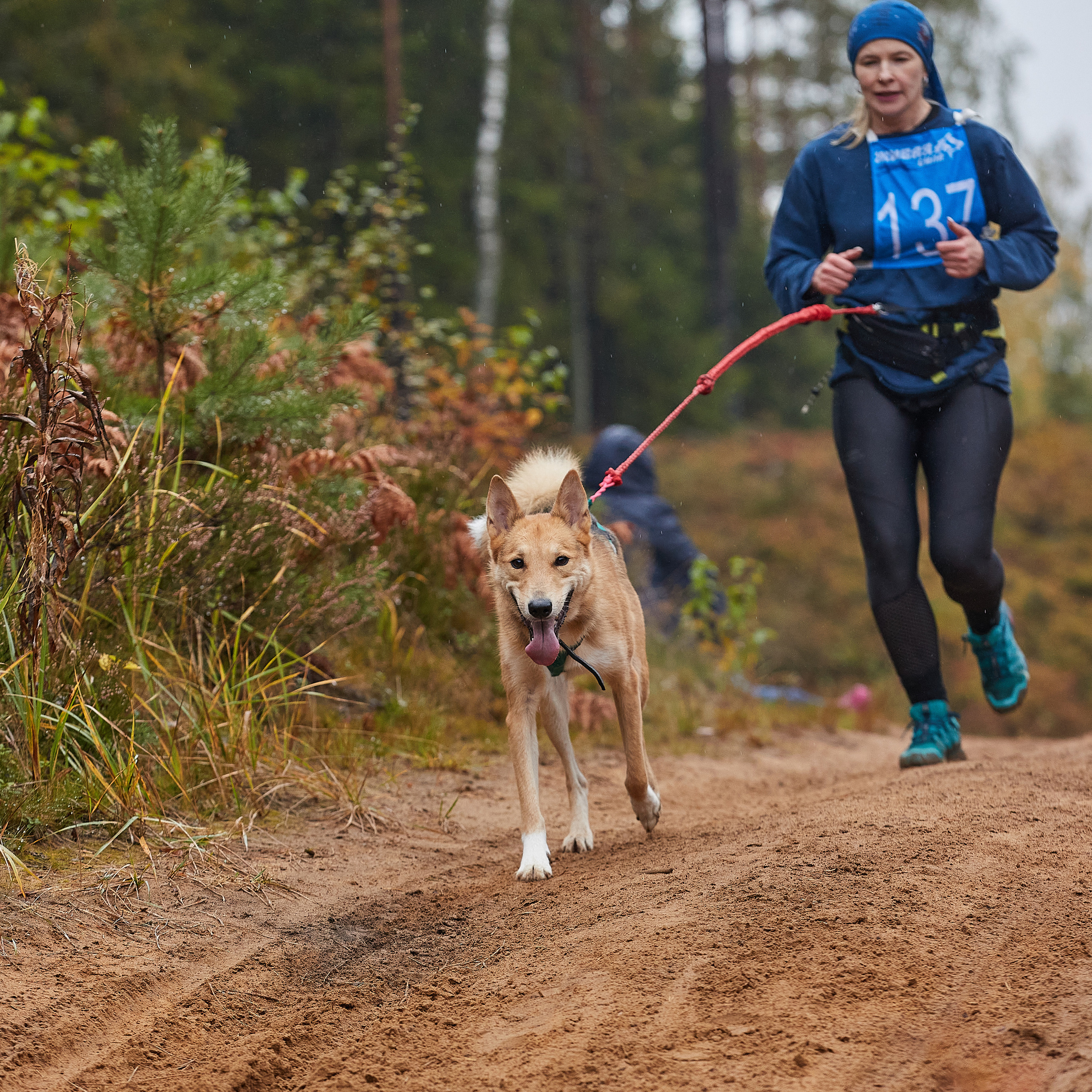 ЧЕМПИОНАТ РОССИИ РКФ 25–26 сентября 2021 г. ФОТОГРАФ-АНИМАЛИСТ l LANA POLYAKOVA