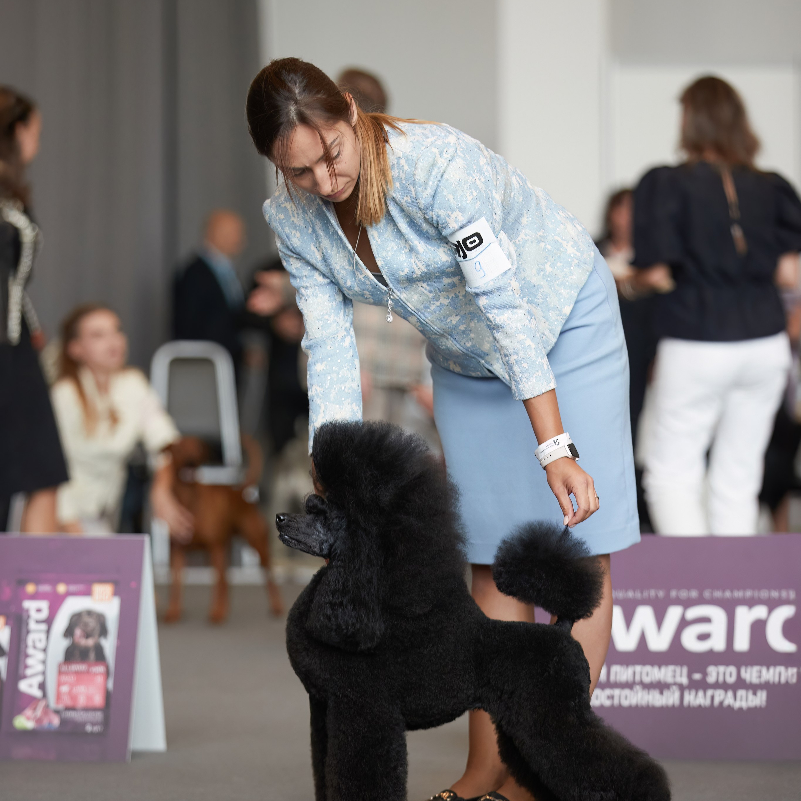 «СЕЗОН В НИЖНЕМ» НИЖНИЙ НОВГОРОД-2024. ФОТОГРАФ-АНИМАЛИСТ l LANA POLYAKOVA