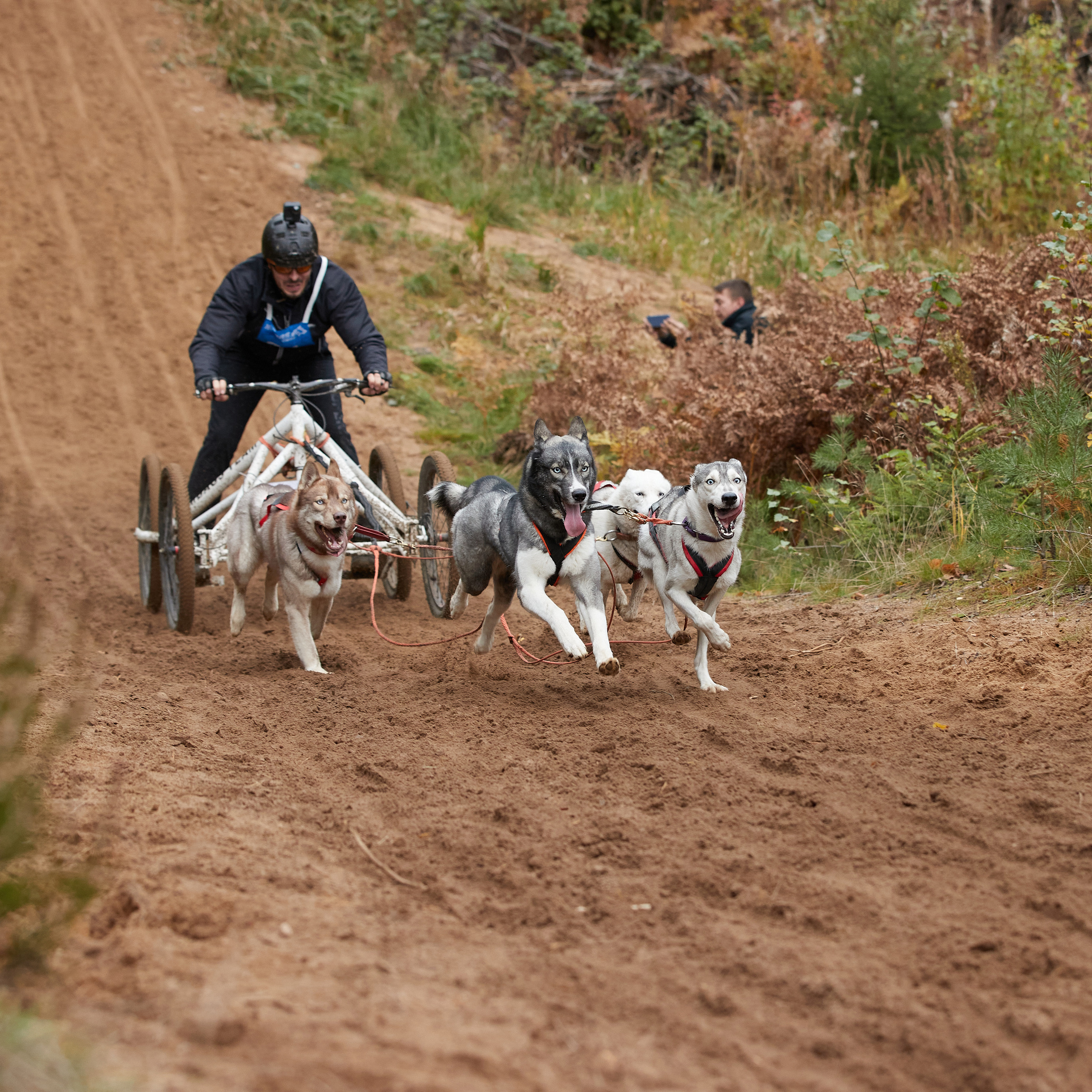 ЧЕМПИОНАТ РОССИИ РКФ 25–26 сентября 2021 г. ФОТОГРАФ-АНИМАЛИСТ l LANA POLYAKOVA