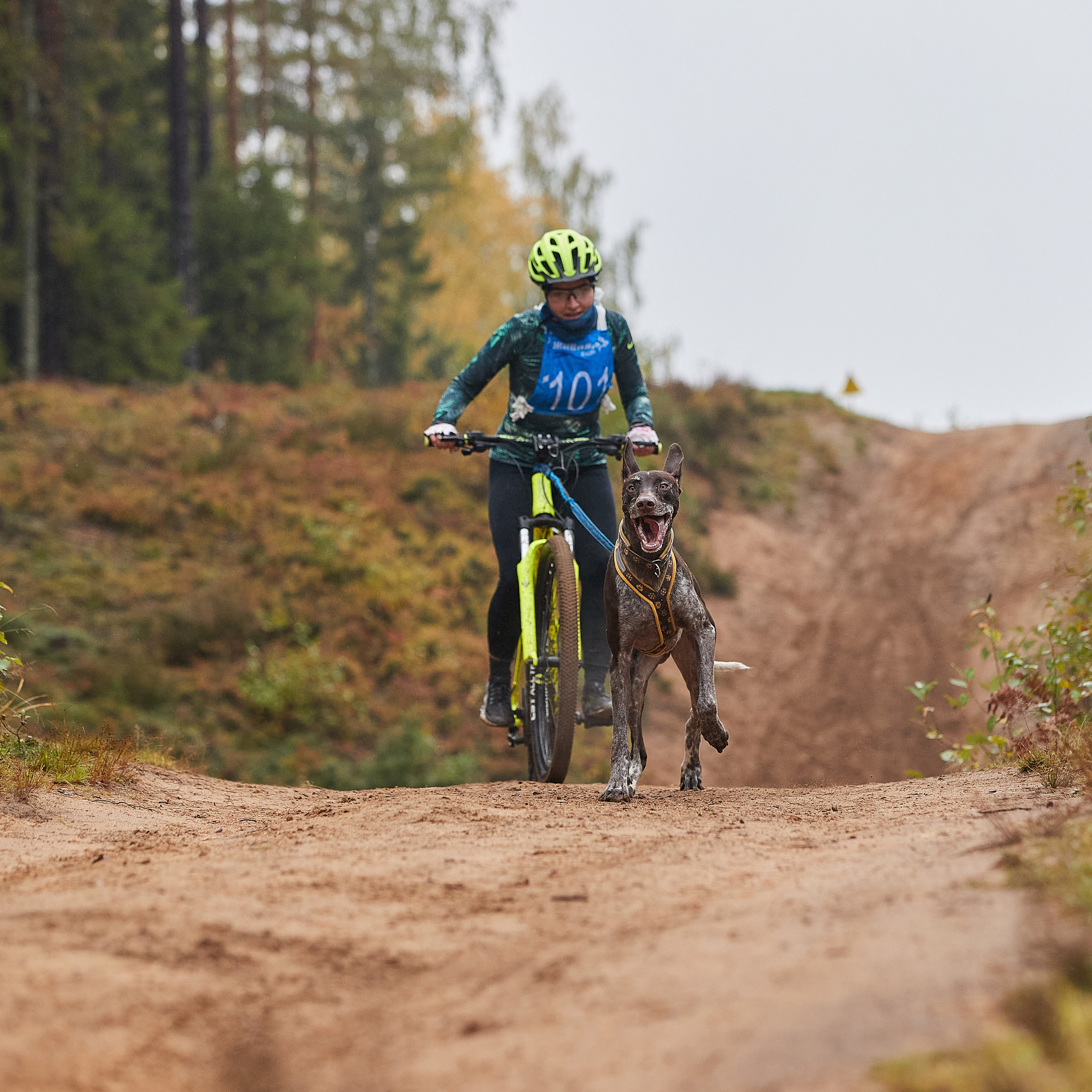 ЧЕМПИОНАТ РОССИИ РКФ 25–26 сентября 2021 г. ФОТОГРАФ-АНИМАЛИСТ l LANA POLYAKOVA