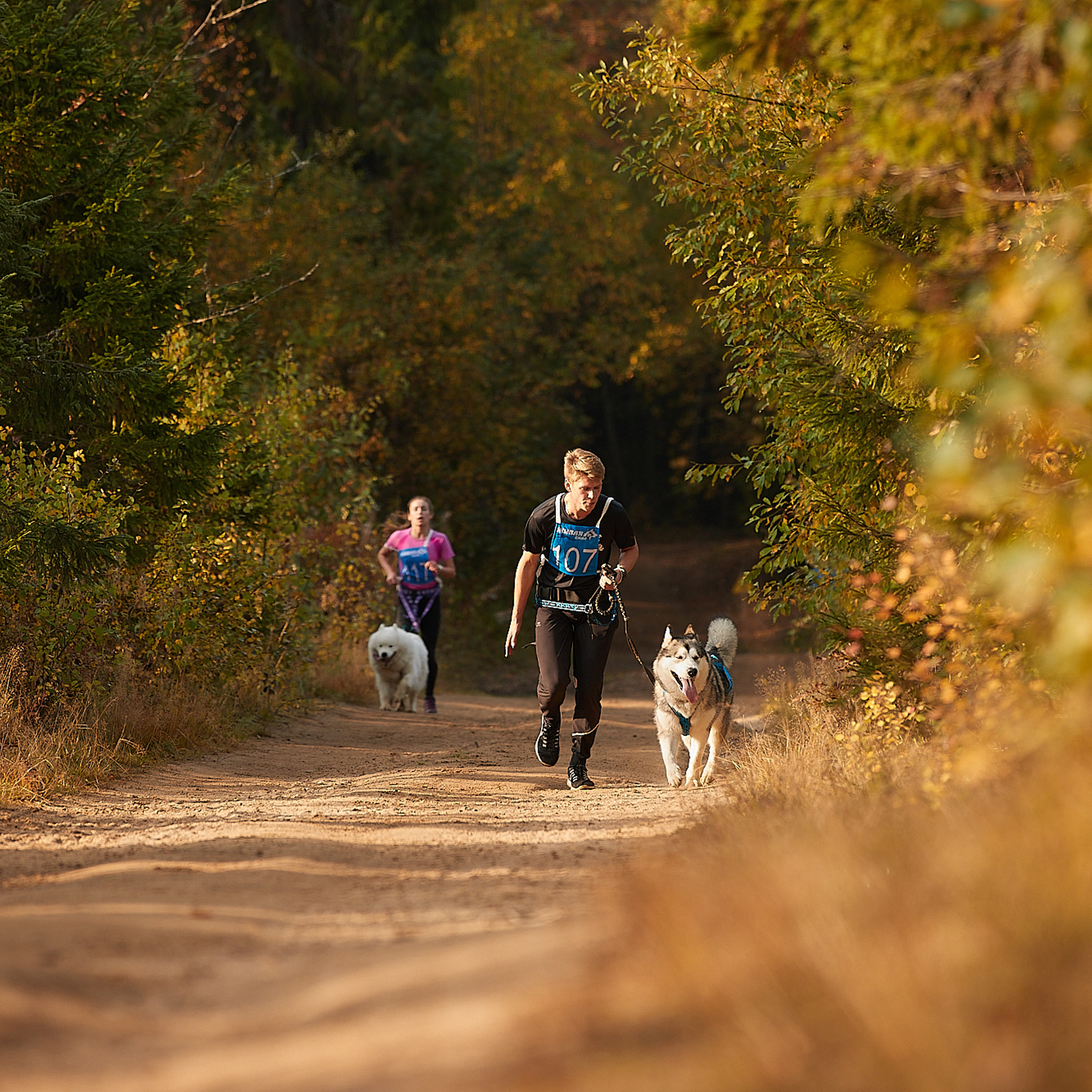 ЧЕМПИОНАТ РОССИИ РКФ 27 сентября 2020 г., 2й день. ФОТОГРАФ-АНИМАЛИСТ l LANA POLYAKOVA
