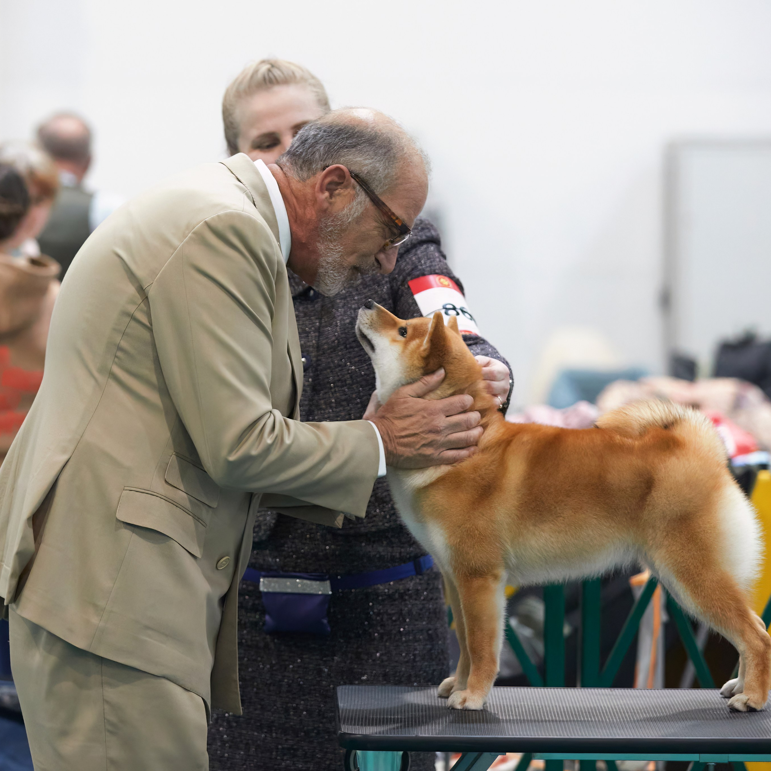 Шоу чемпионов «ЛУЧШИЕ СОБАКИ РОССИИ». ФОТОГРАФ-АНИМАЛИСТ l LANA POLYAKOVA
