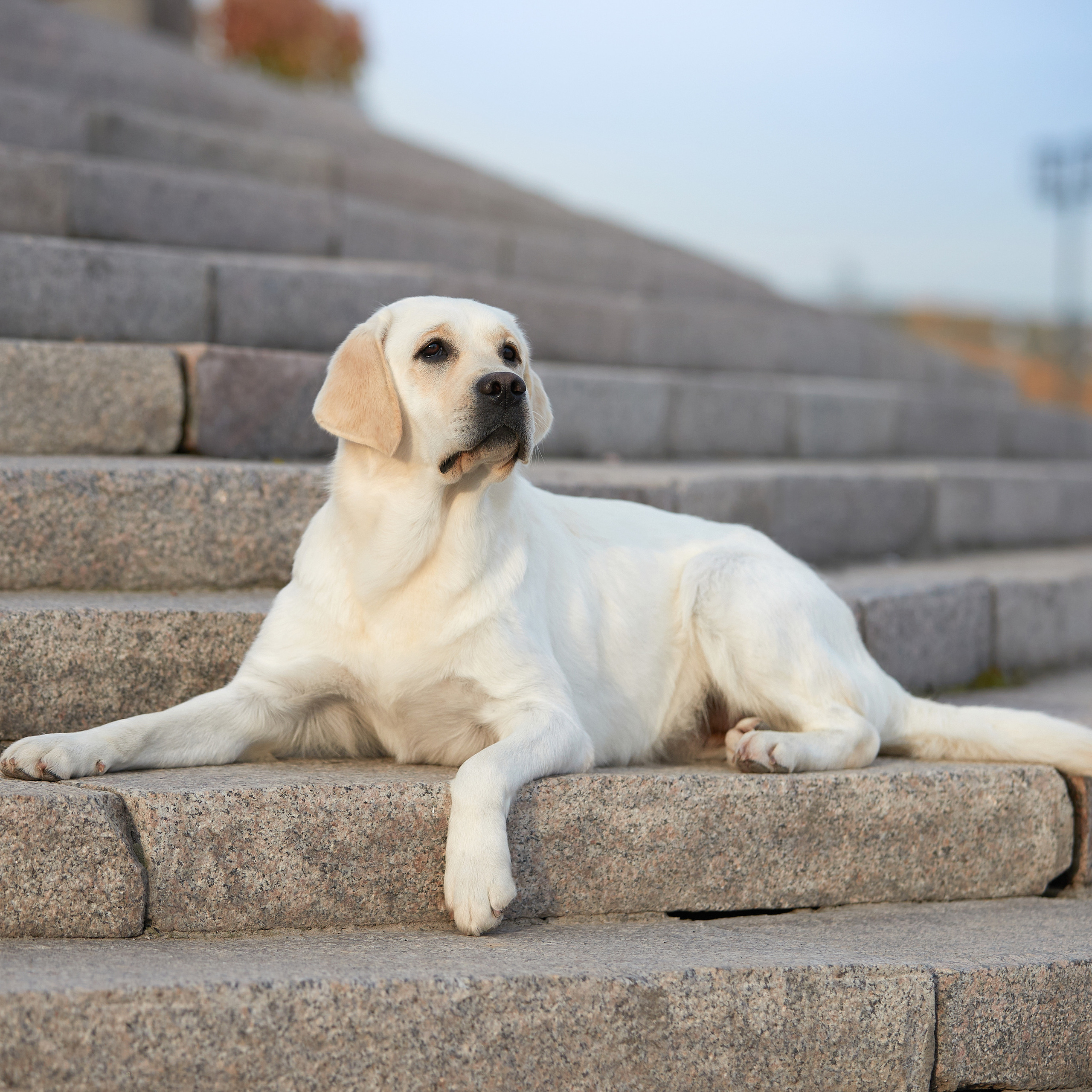 Путешествие к Байкалу. Фотосессии в Иркутске. ФОТОГРАФ-АНИМАЛИСТ l LANA POLYAKOVA
