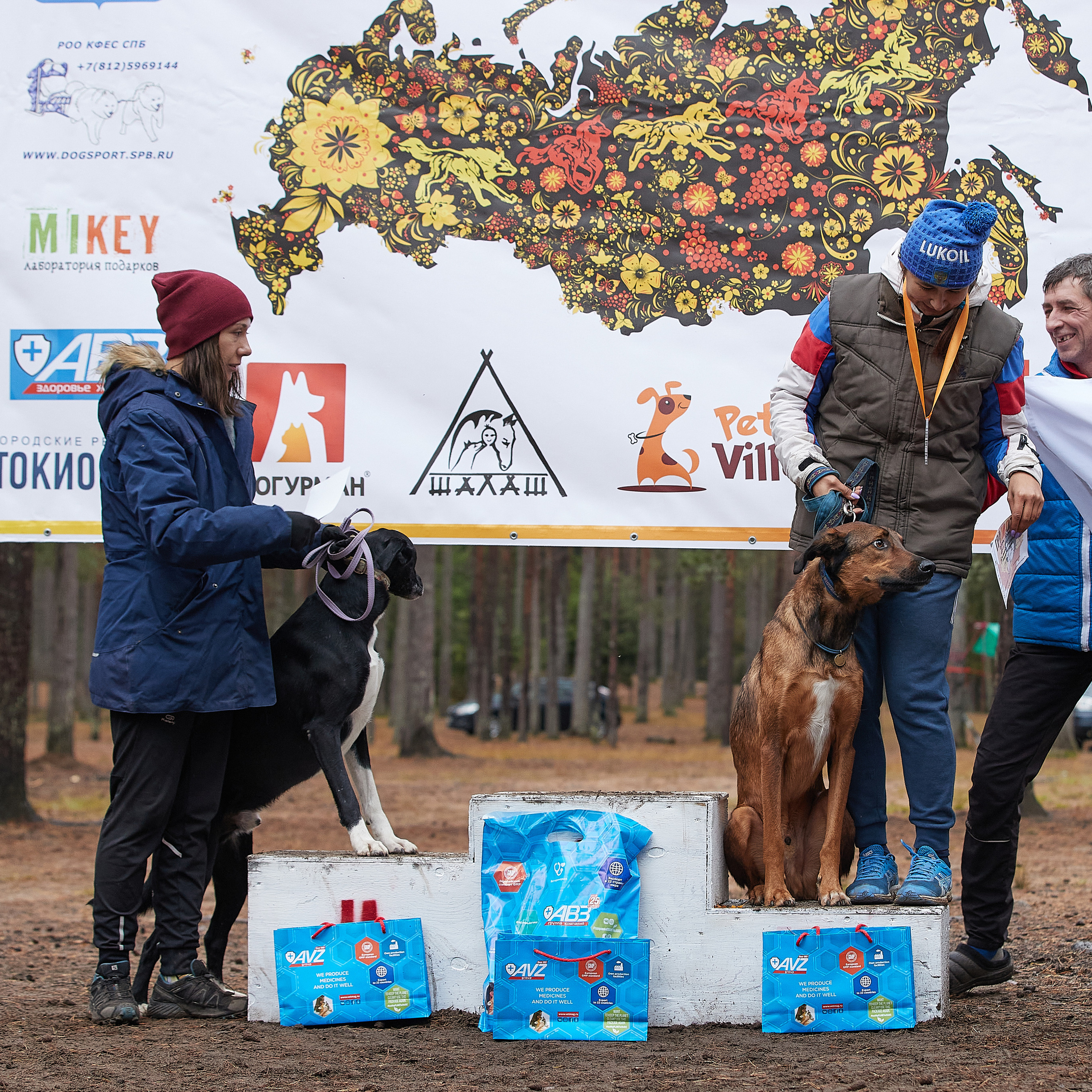 ЧЕМПИОНАТ РОССИИ РКФ 25–26 сентября 2021 г. ФОТОГРАФ-АНИМАЛИСТ l LANA POLYAKOVA