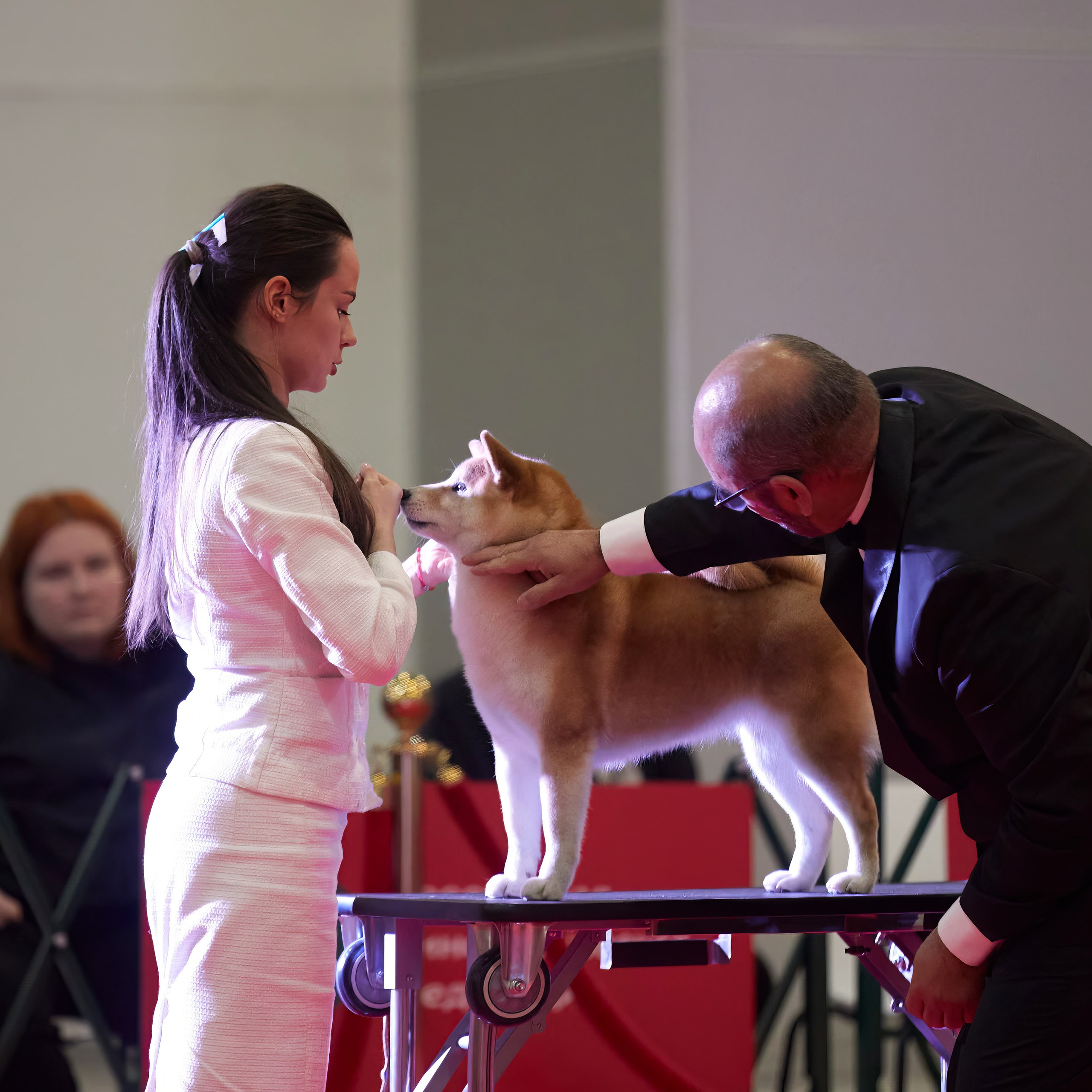 Шоу чемпионов «ЛУЧШИЕ СОБАКИ РОССИИ». ФОТОГРАФ-АНИМАЛИСТ l LANA POLYAKOVA