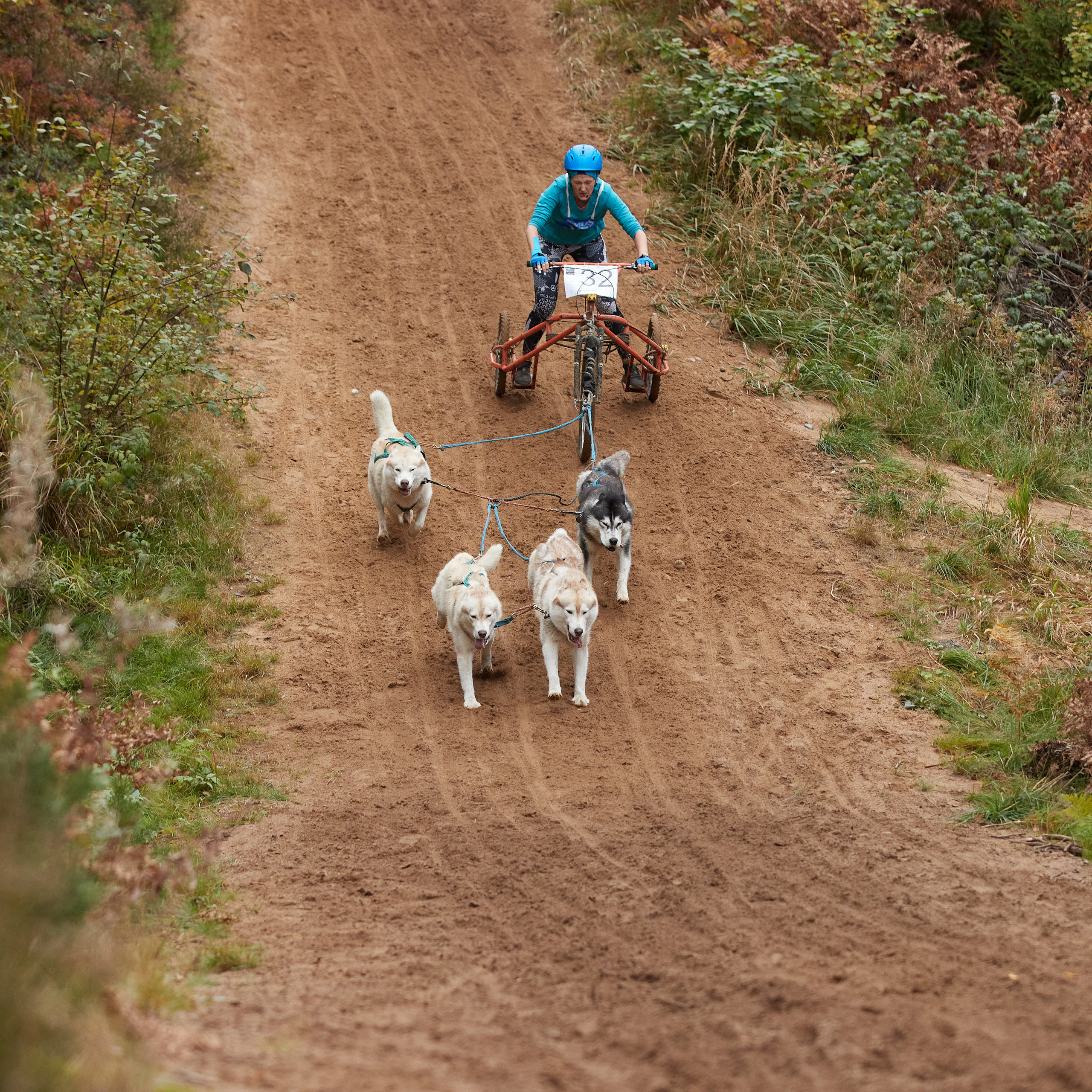 ЧЕМПИОНАТ РОССИИ РКФ 25–26 сентября 2021 г. ФОТОГРАФ-АНИМАЛИСТ l LANA POLYAKOVA