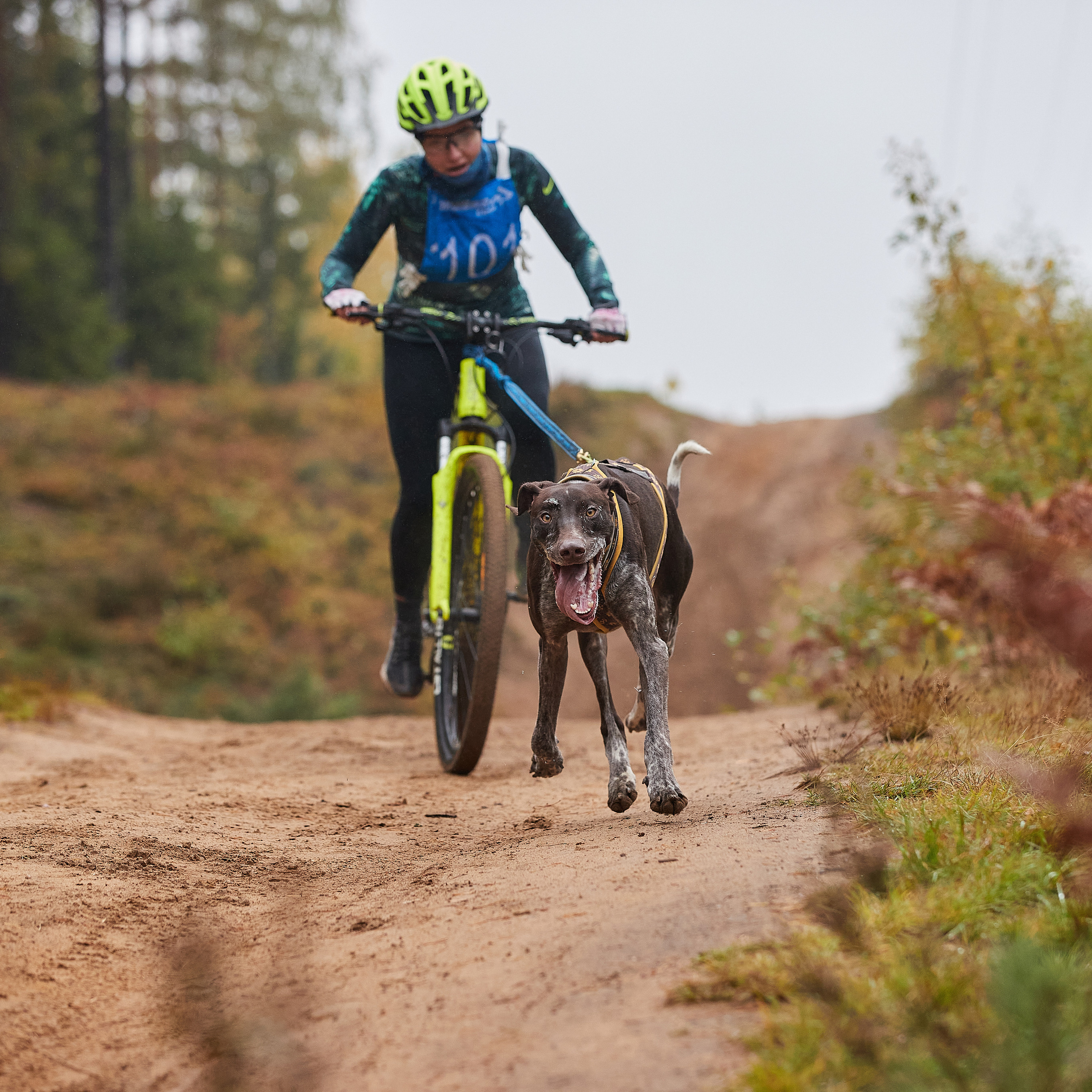 ЧЕМПИОНАТ РОССИИ РКФ 25–26 сентября 2021 г. ФОТОГРАФ-АНИМАЛИСТ l LANA POLYAKOVA