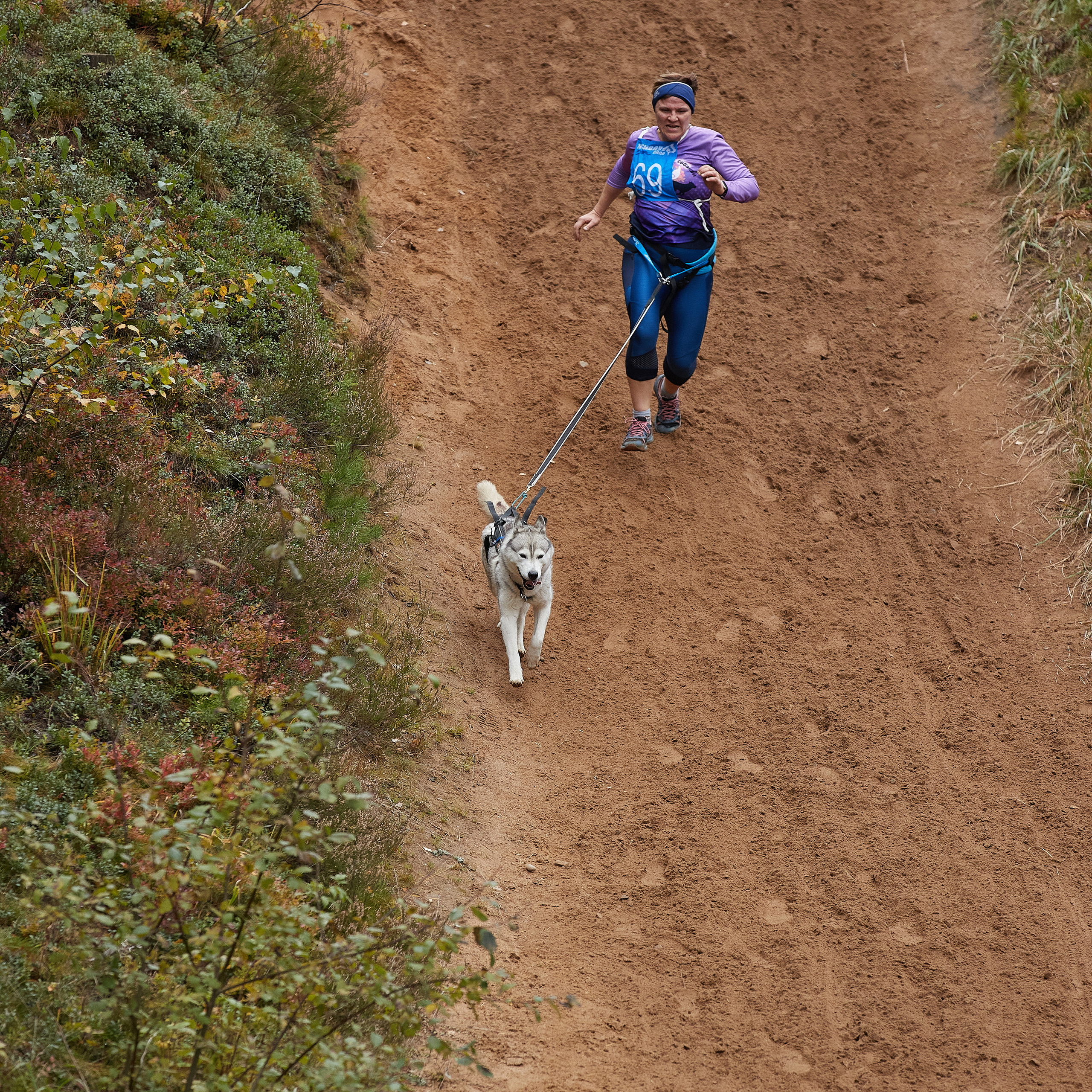 ЧЕМПИОНАТ РОССИИ РКФ 25–26 сентября 2021 г. ФОТОГРАФ-АНИМАЛИСТ l LANA POLYAKOVA