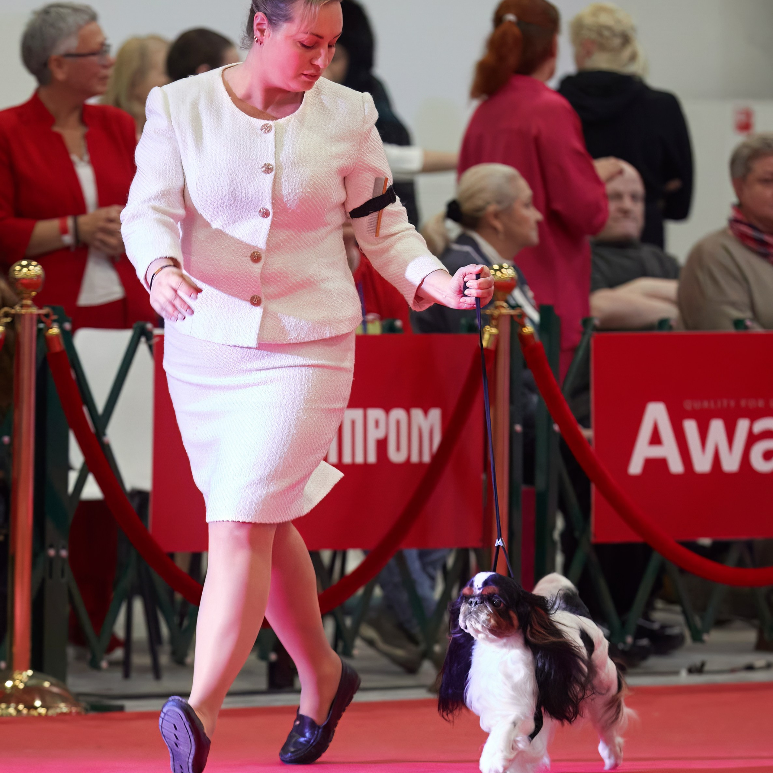Шоу чемпионов «ЛУЧШИЕ СОБАКИ РОССИИ». ФОТОГРАФ-АНИМАЛИСТ l LANA POLYAKOVA