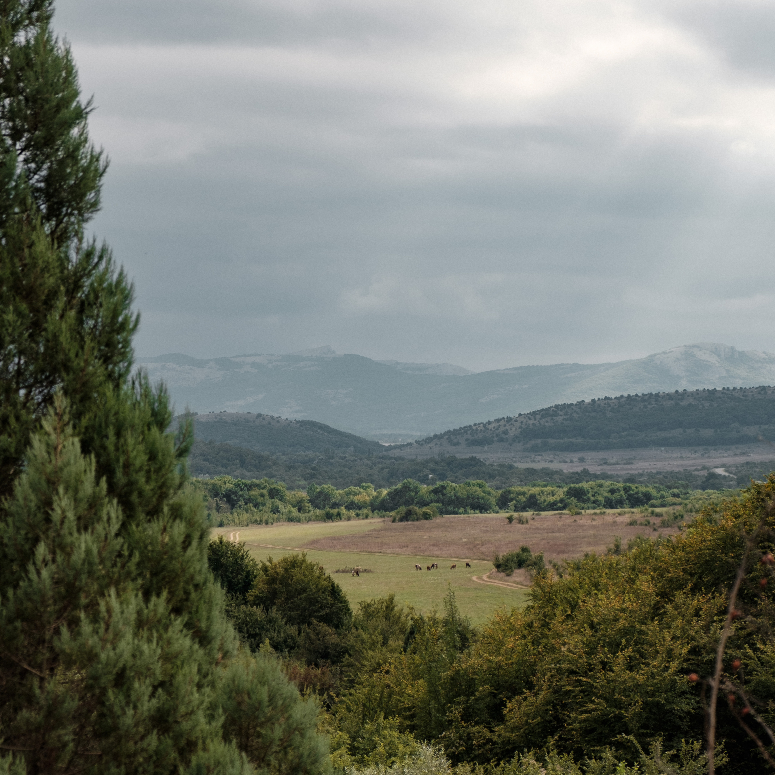 Уркуста-парк. Фотограф Конопихин Константин