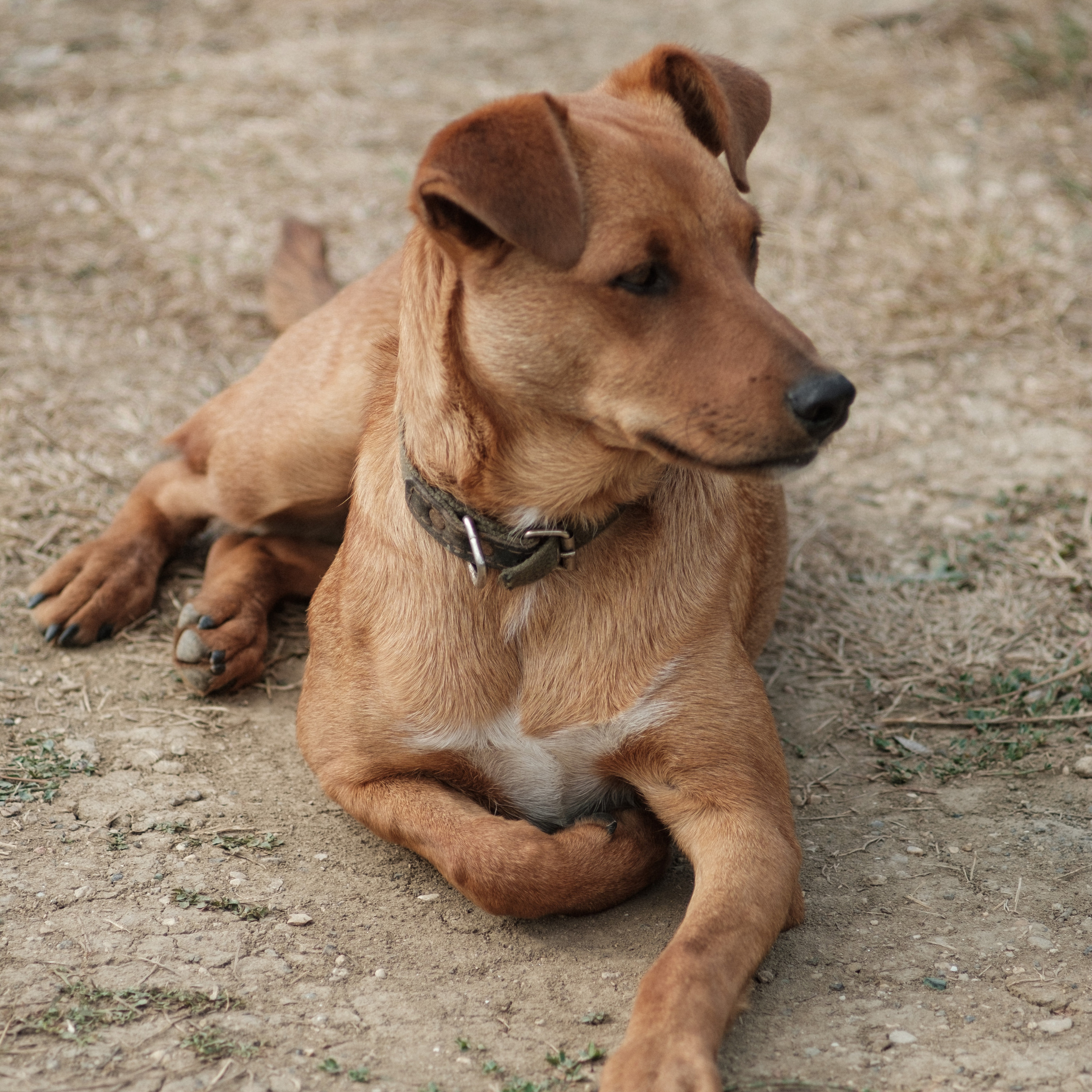 Уркуста-парк. Фотограф Конопихин Константин