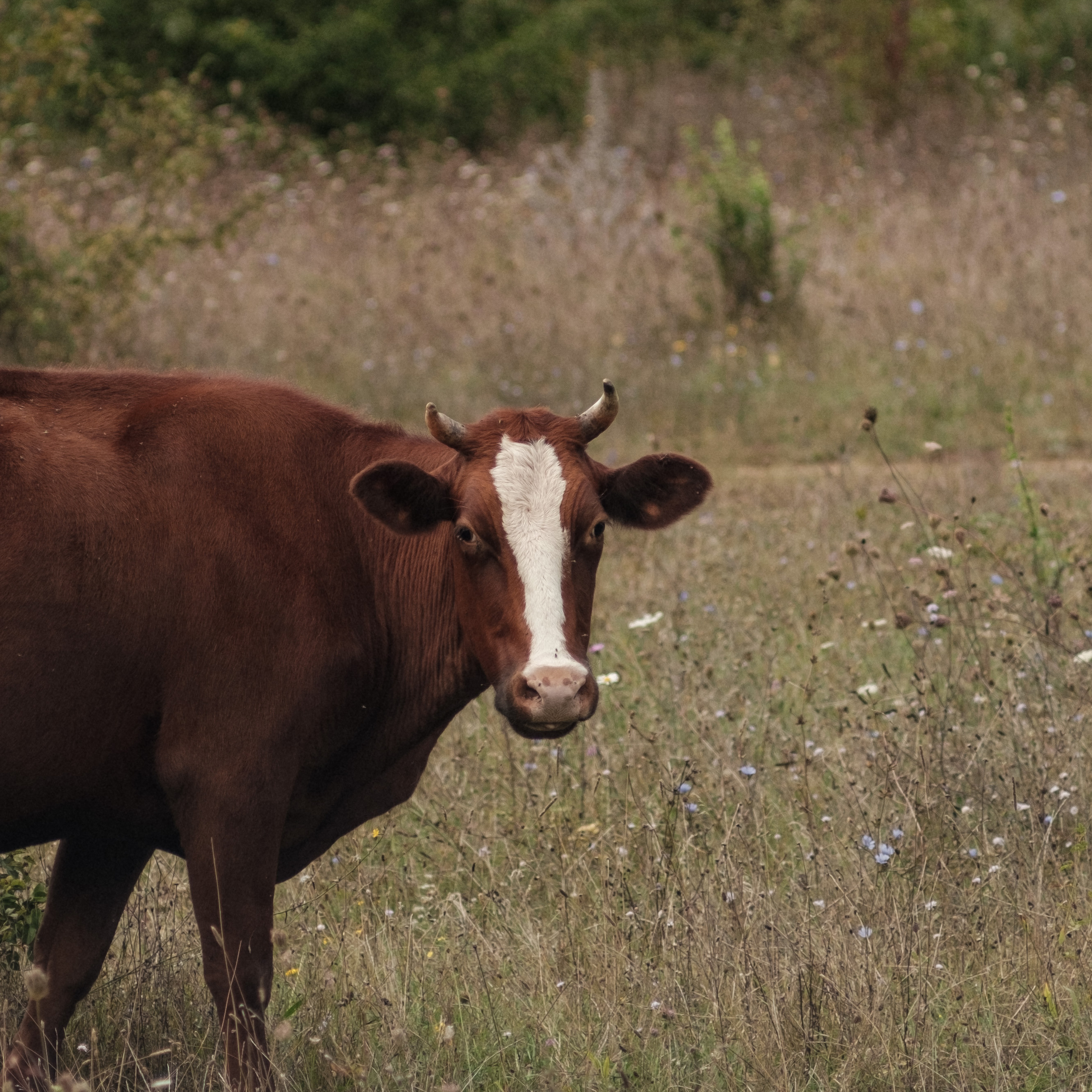 Уркуста-парк. Фотограф Конопихин Константин
