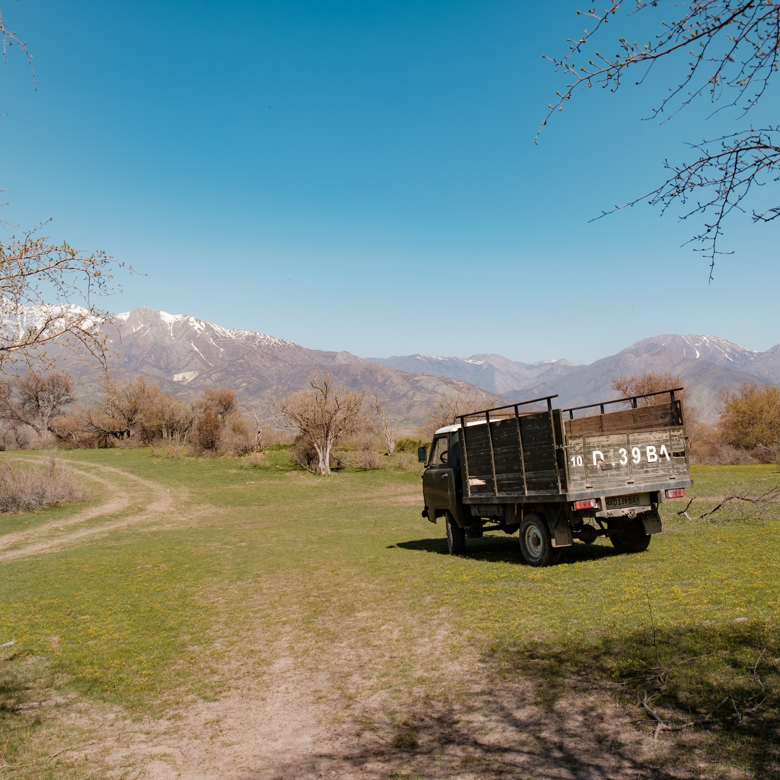 Узбекистан. Червак, Чимган. Фотограф Конопихин Константин
