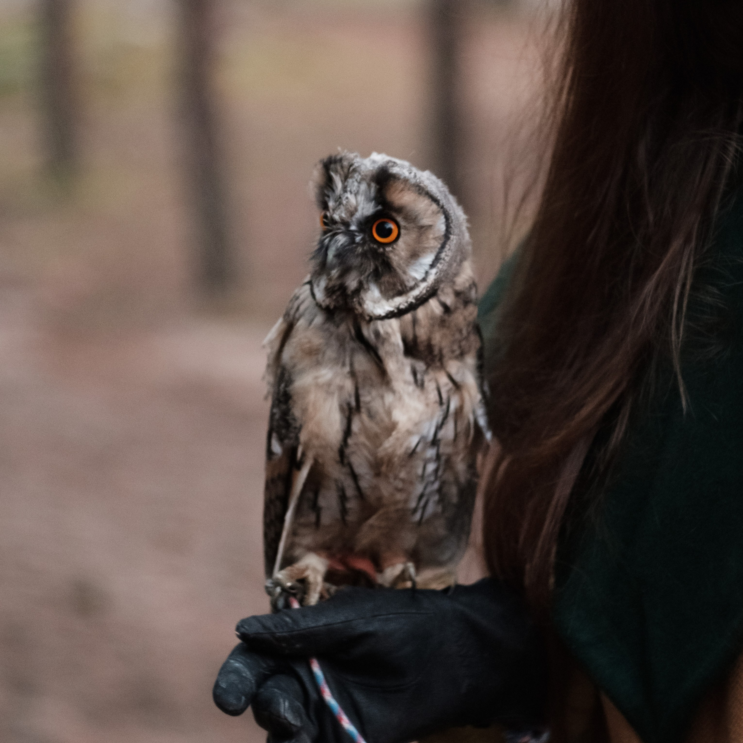 Этнофестиваль «Жива 2023». Фотограф Конопихин Константин