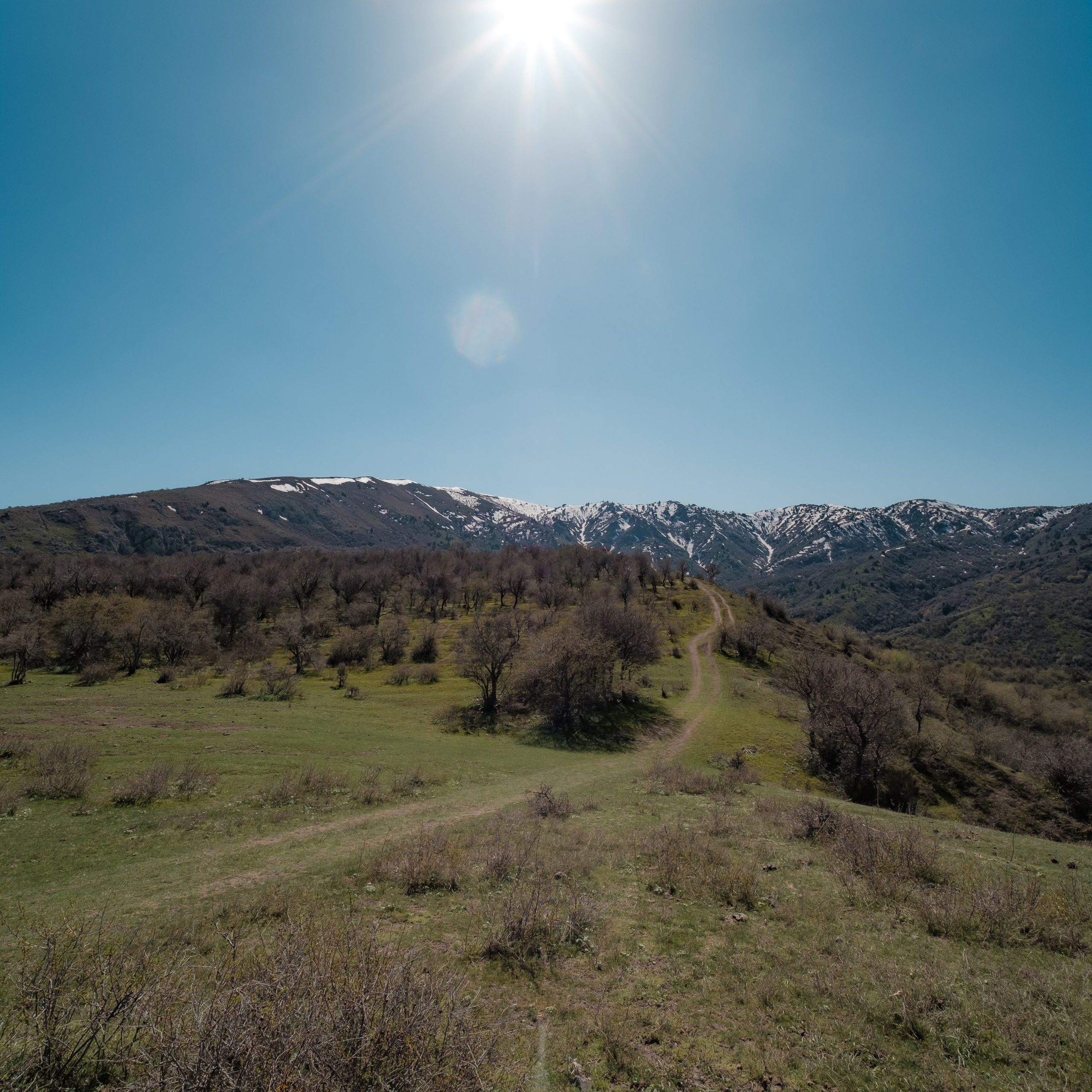 Узбекистан. Червак, Чимган. Фотограф Конопихин Константин
