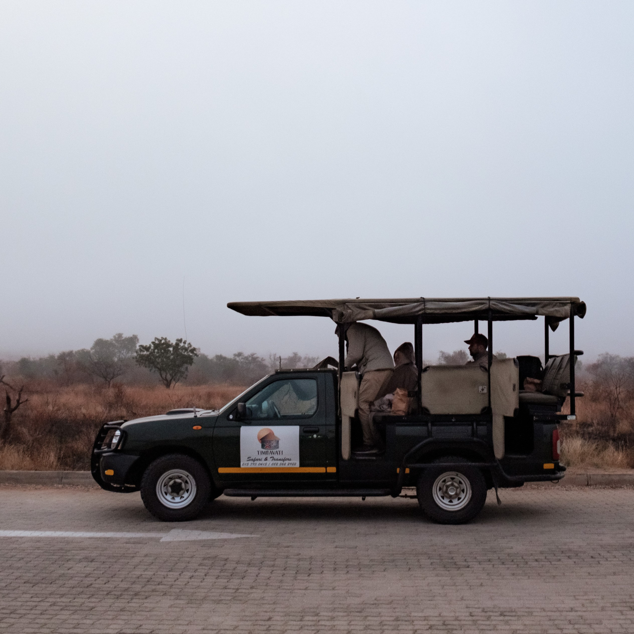 ЮАР. Крюгер-парк. Фотограф Конопихин Константин