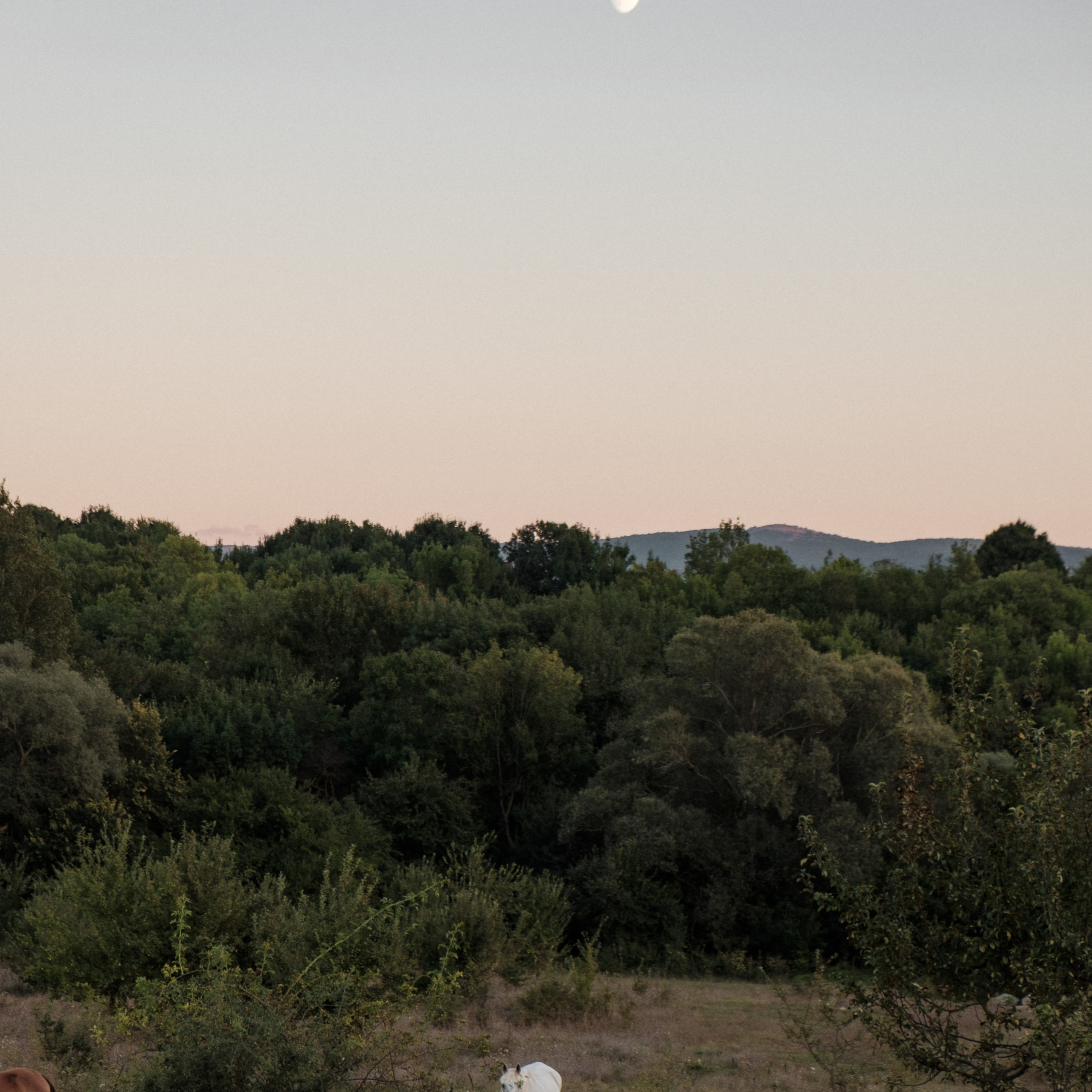Уркуста-парк. Фотограф Конопихин Константин