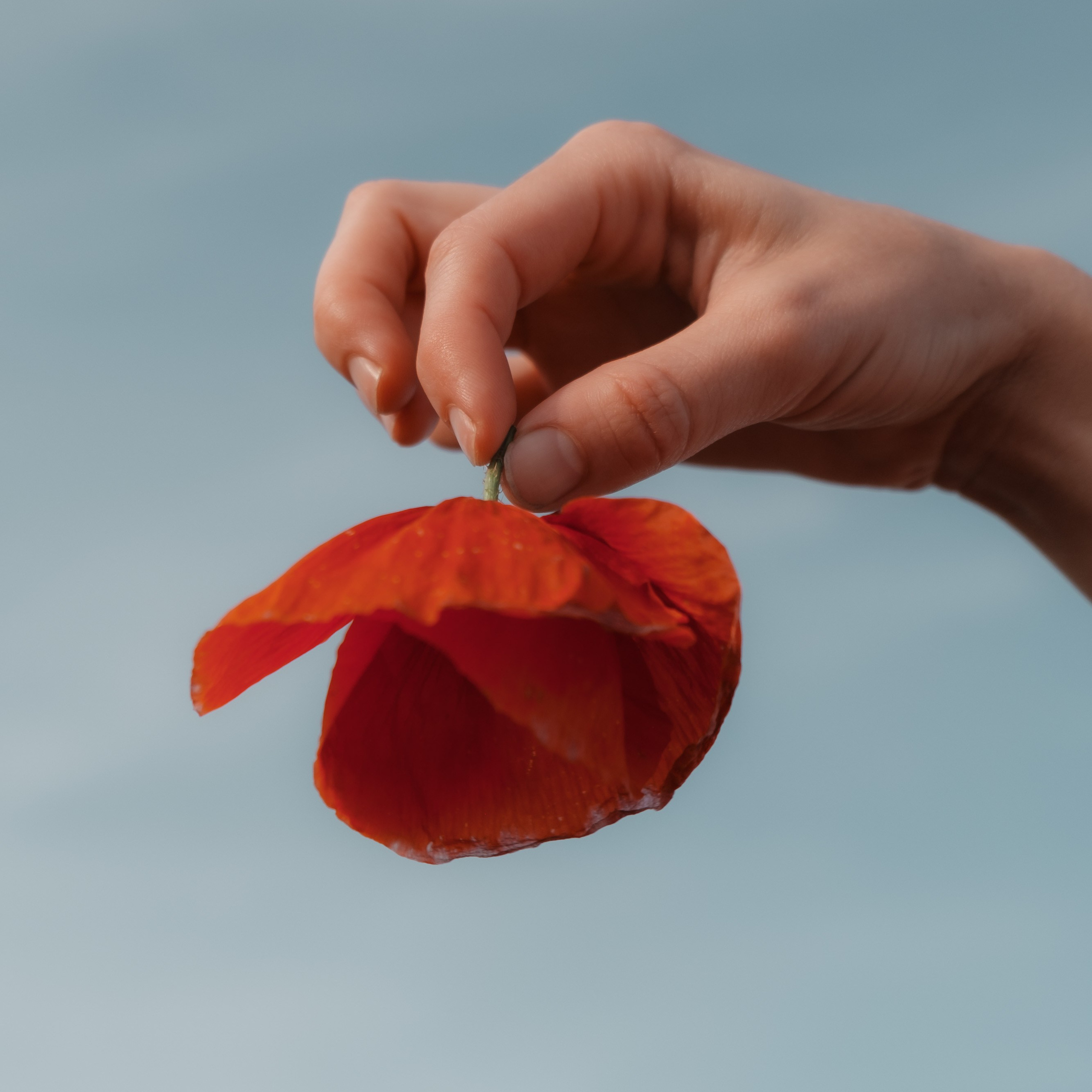 Аня. Фотограф Конопихин Константин