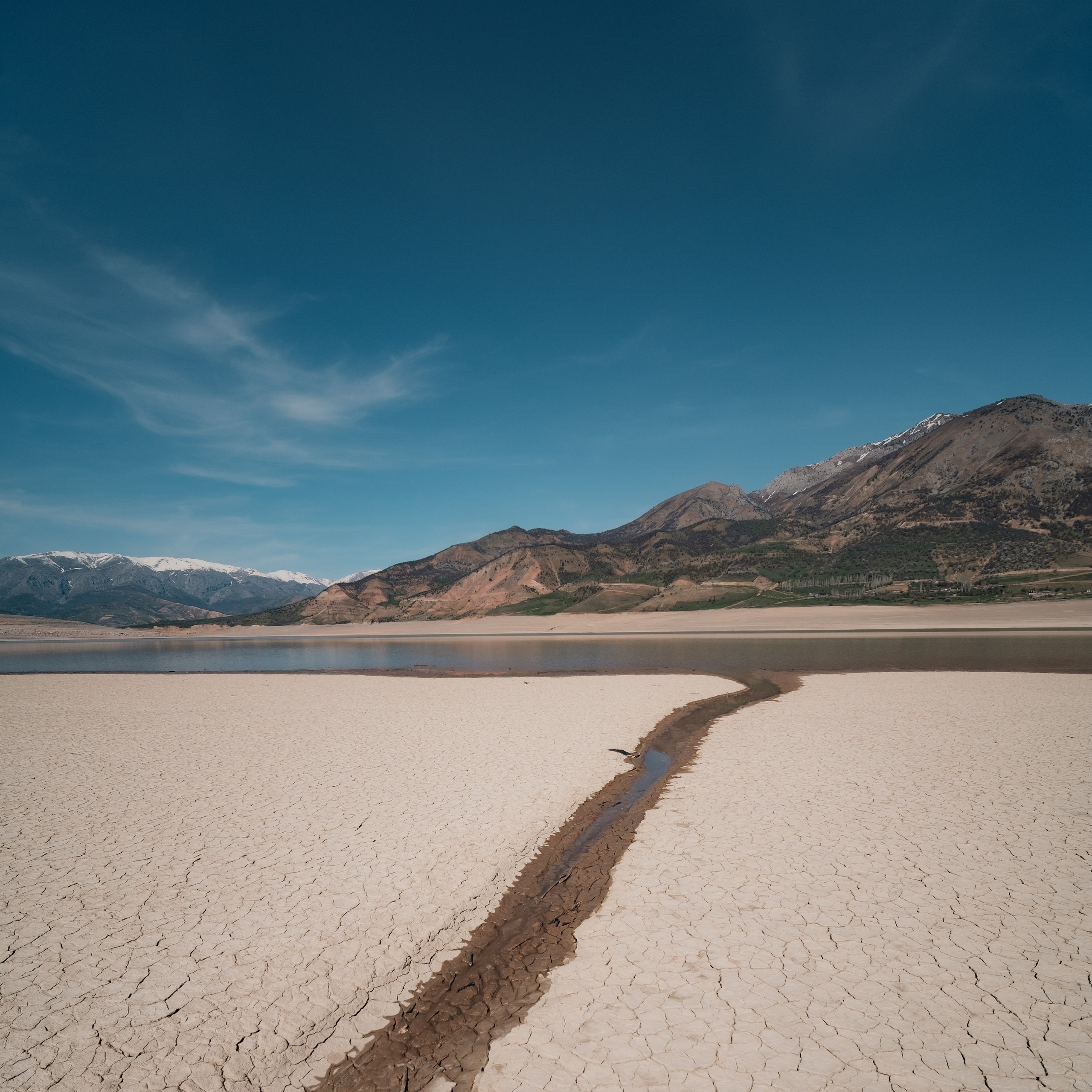 Узбекистан. Червак, Чимган. Фотограф Конопихин Константин