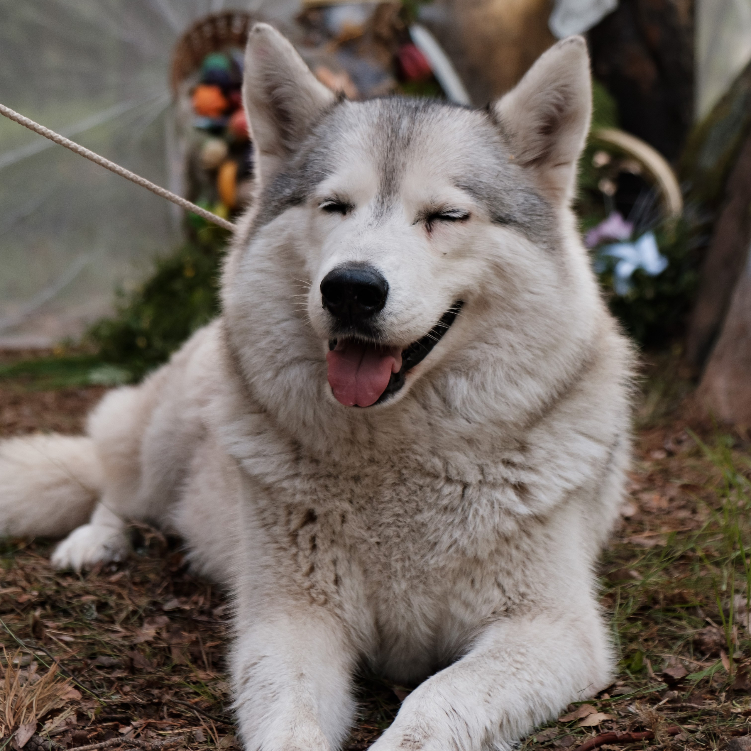 Этнофестиваль «Жива 2023». Фотограф Конопихин Константин