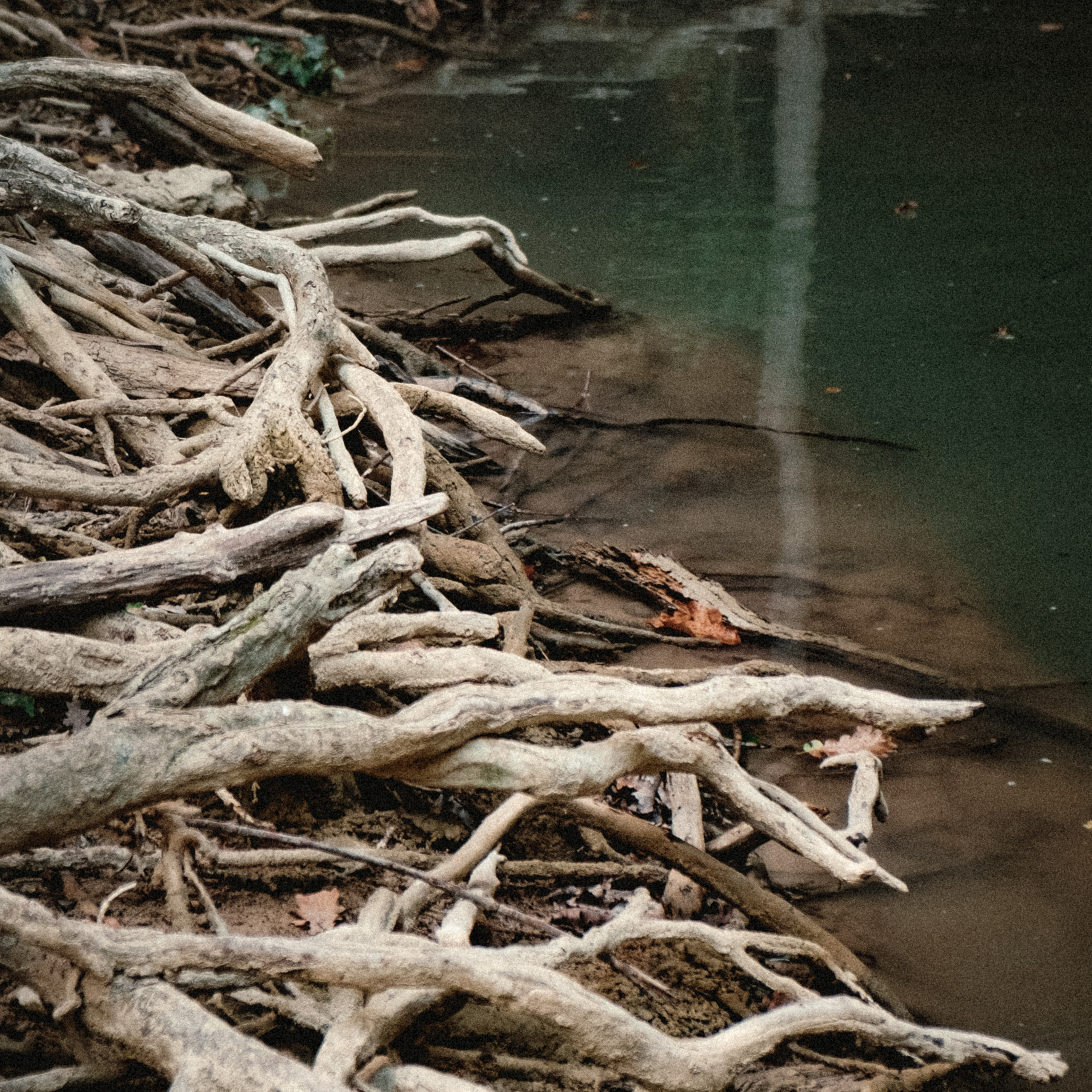 Уркуста-парк. Фотограф Конопихин Константин