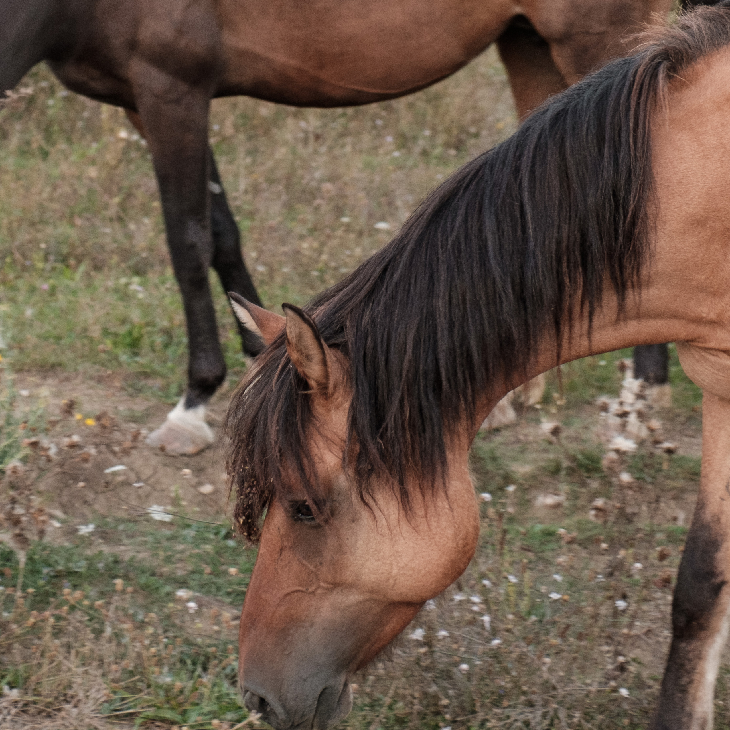 Уркуста-парк. Фотограф Конопихин Константин
