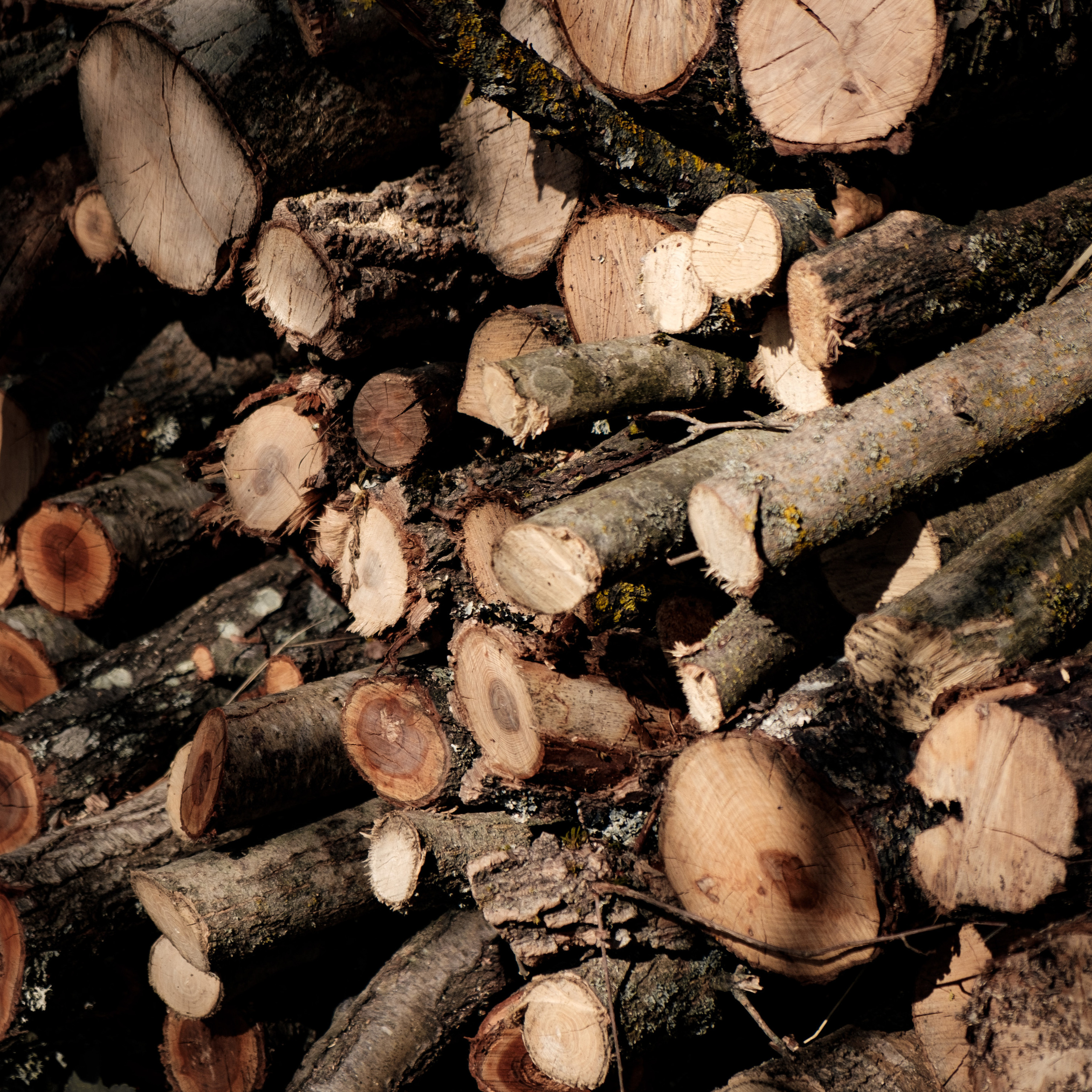 Уркуста-парк. Фотограф Конопихин Константин