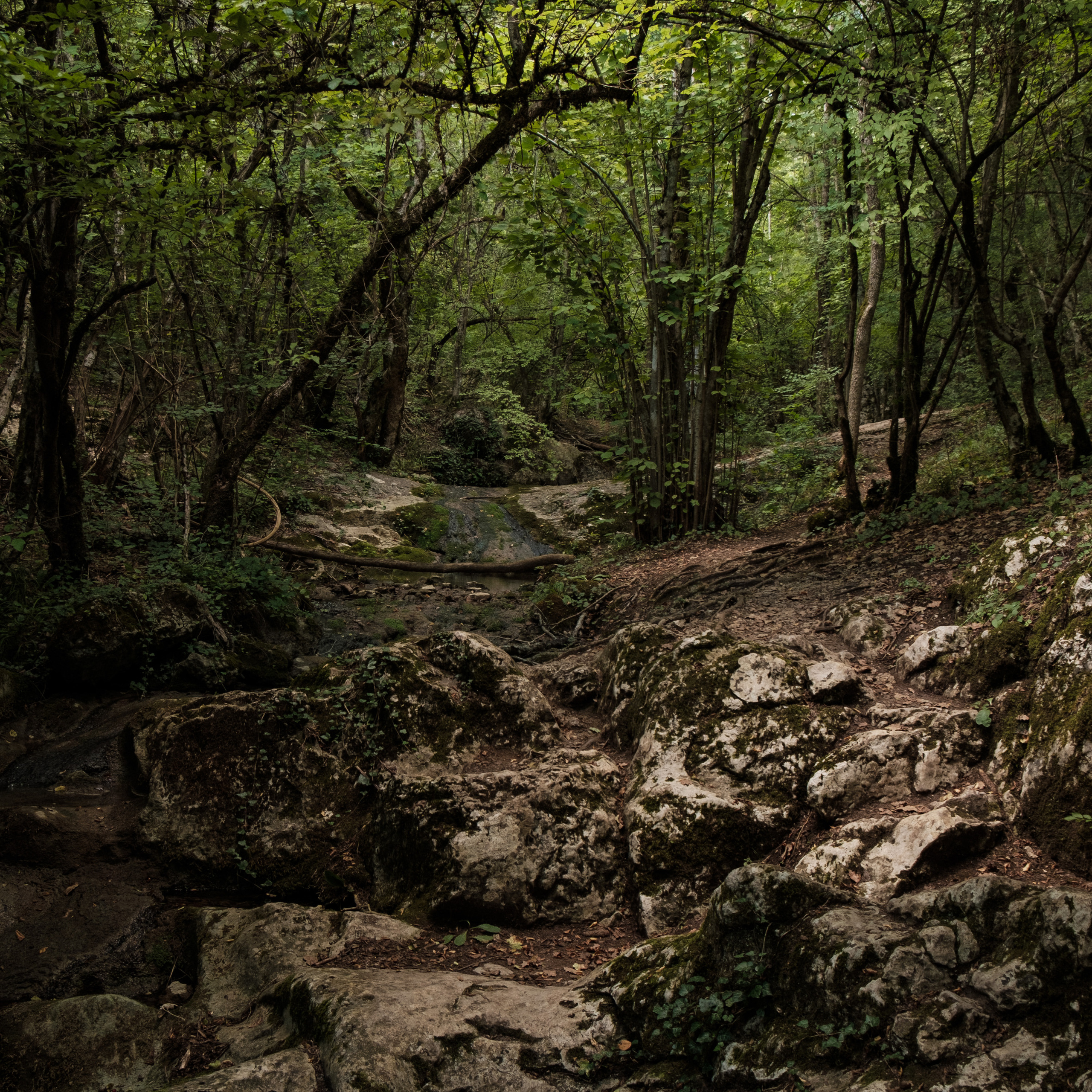 Уркуста-парк. Фотограф Конопихин Константин
