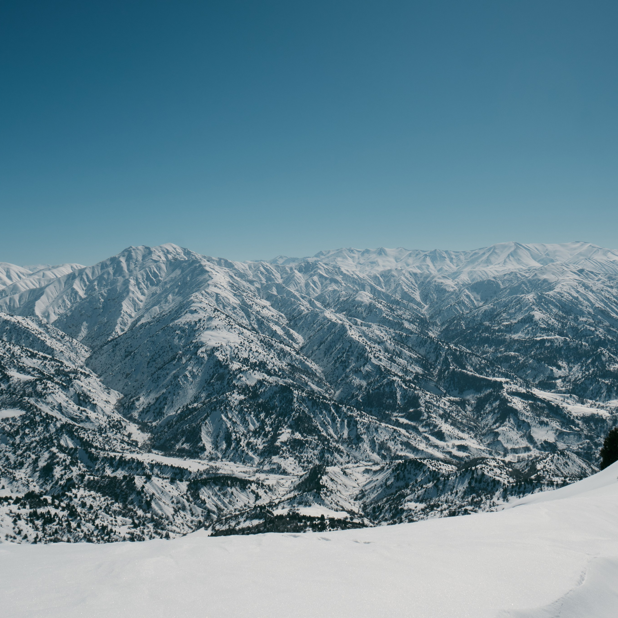 Узбекистан. Амирсай. Фотограф Конопихин Константин