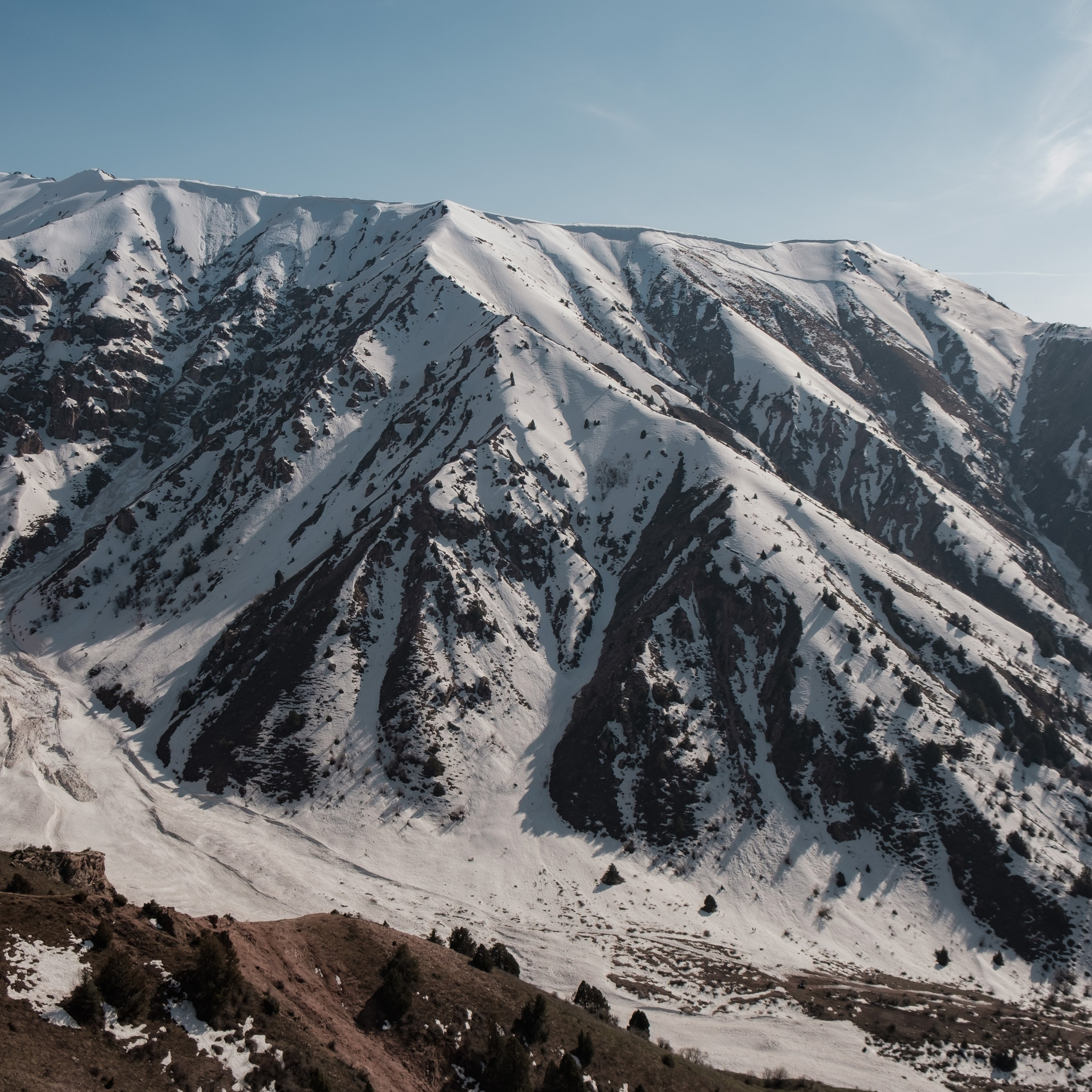 Узбекистан. Червак, Чимган. Фотограф Конопихин Константин