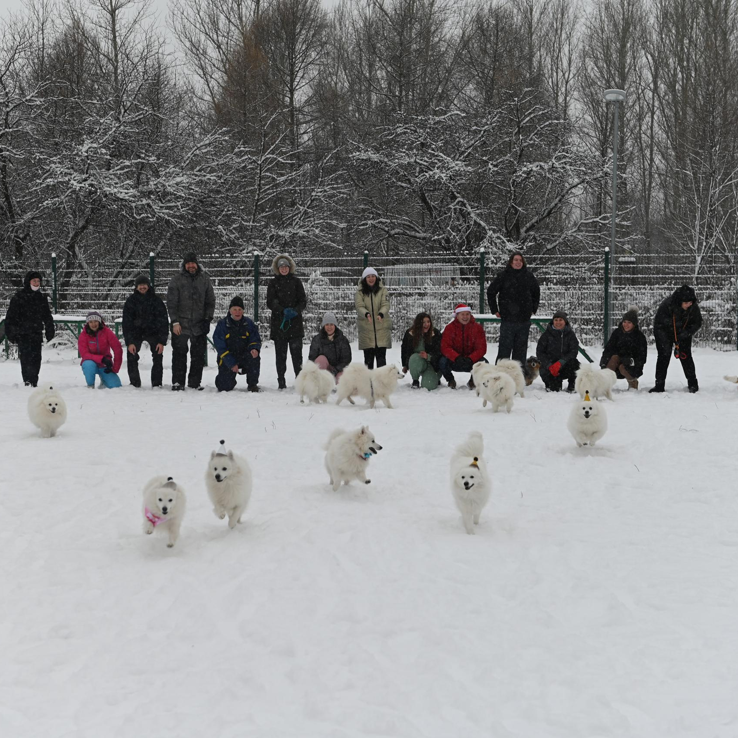 Отзывы о фотограе Евгении Тимощенко. Свадебный и семейный фотограф в Москве и Европе Евгения Амелина