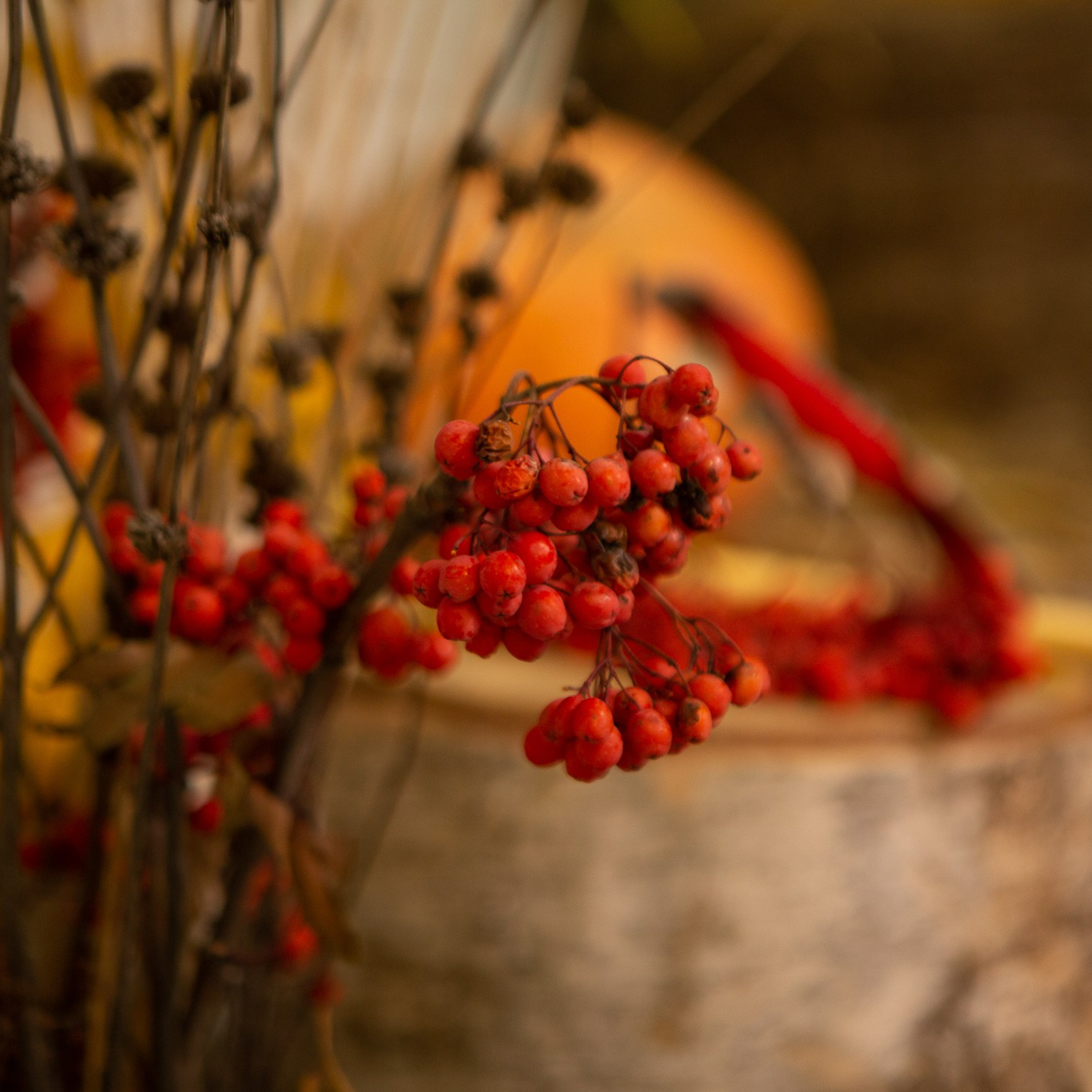 Каминный зал