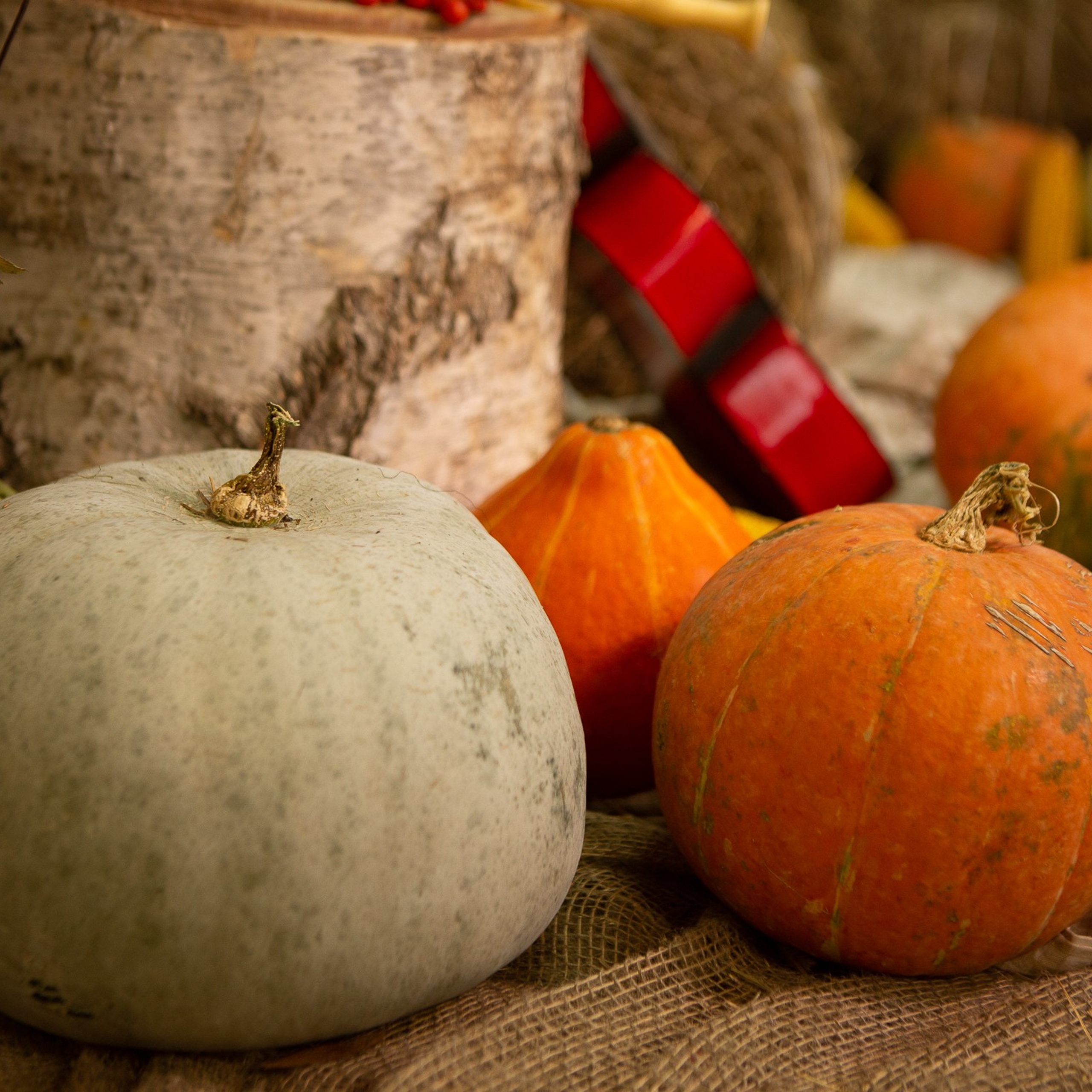 Каминный зал