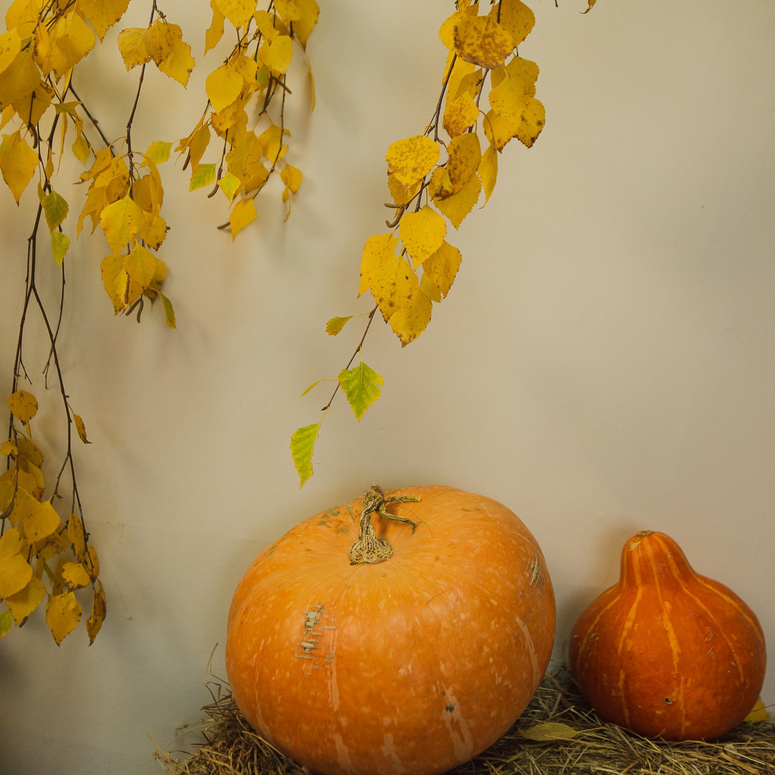 Каминный зал