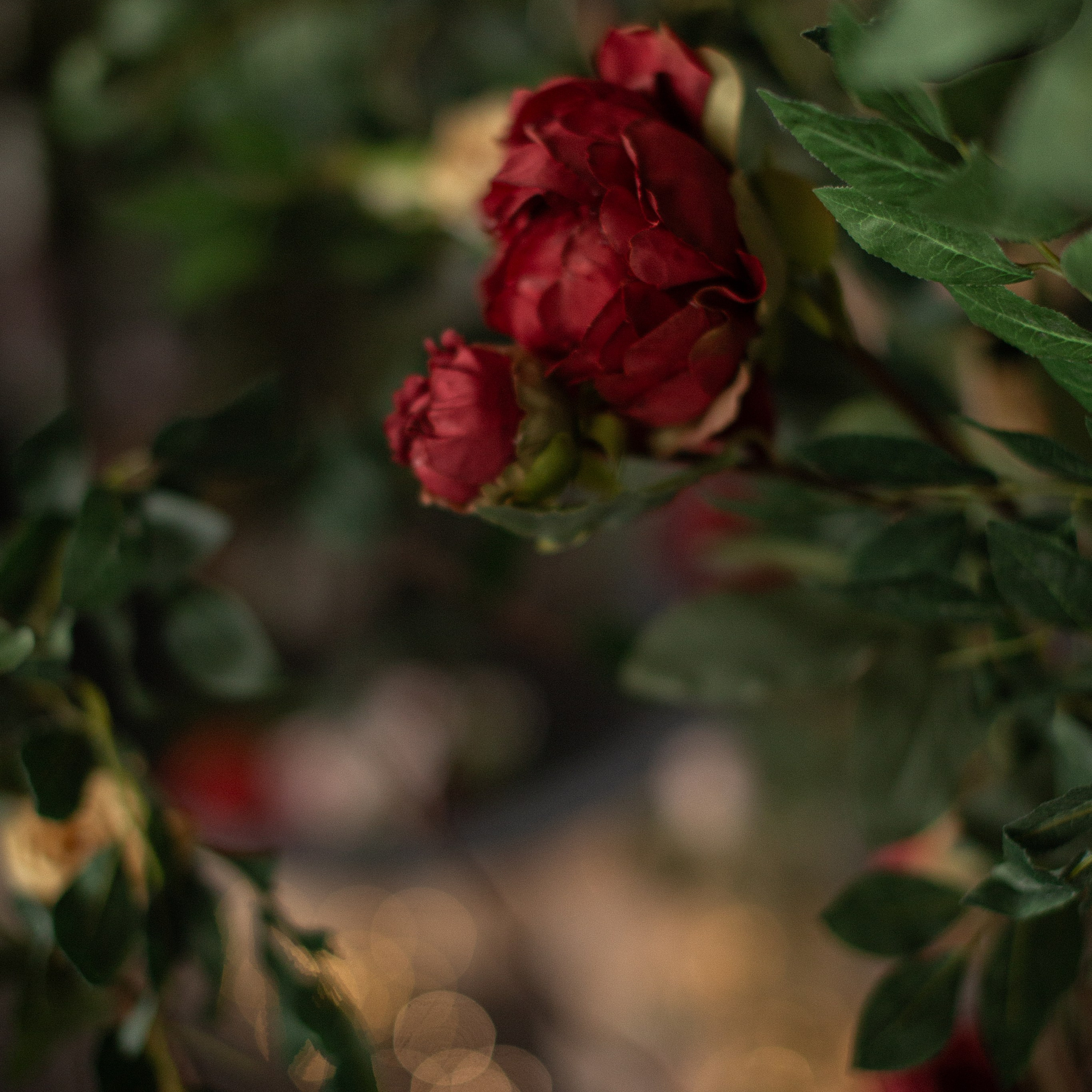 Каминный зал