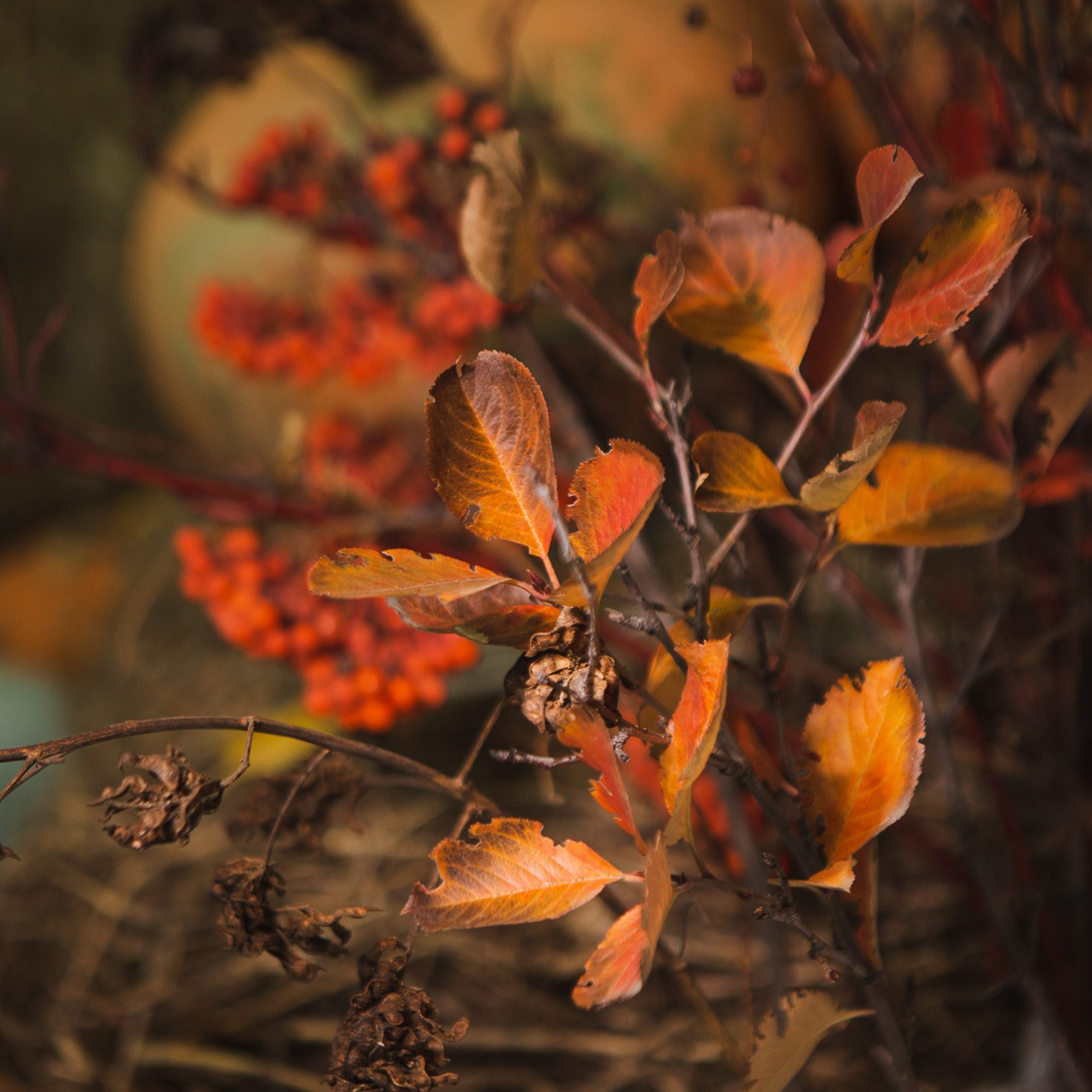 Каминный зал