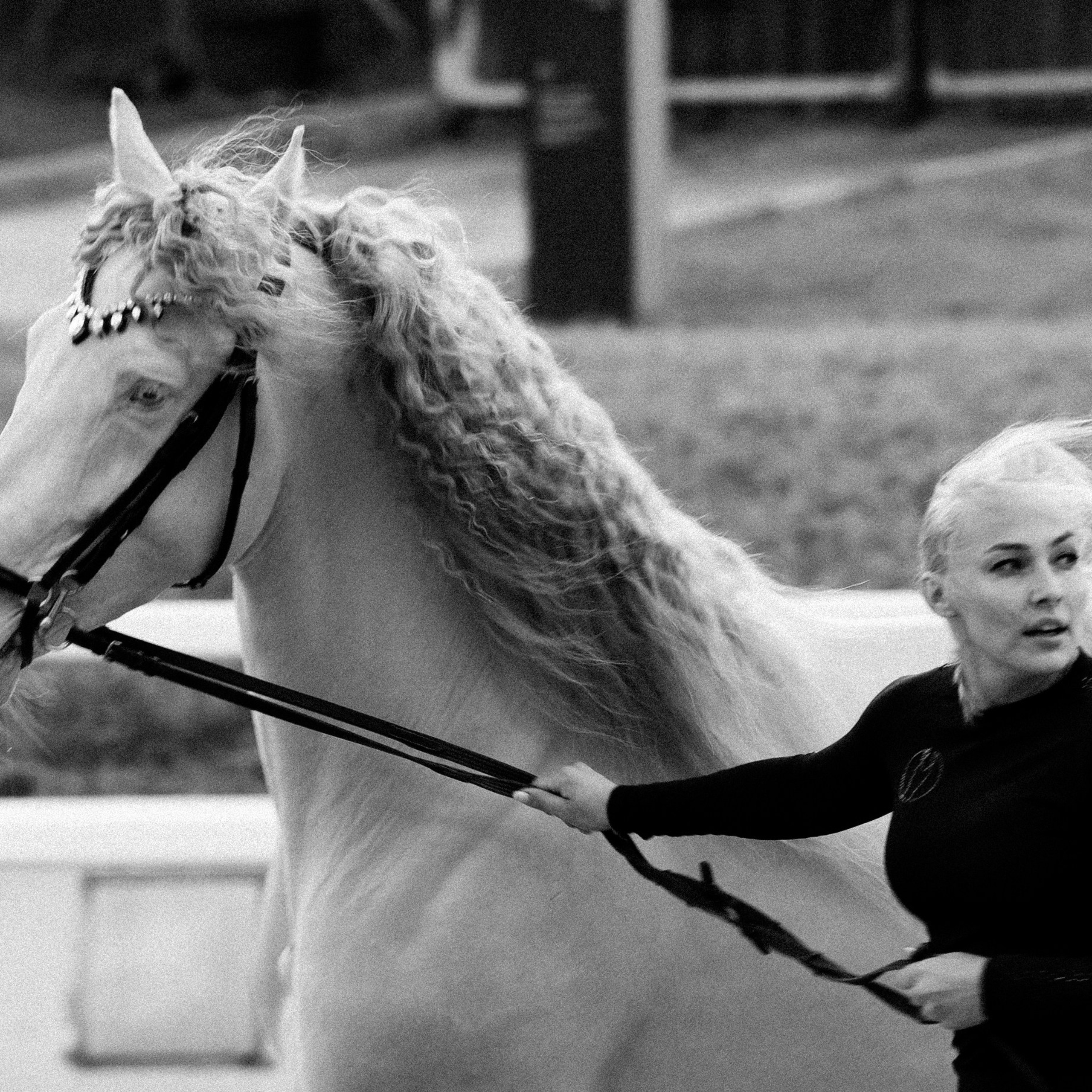 Эквирос 2025. Главная