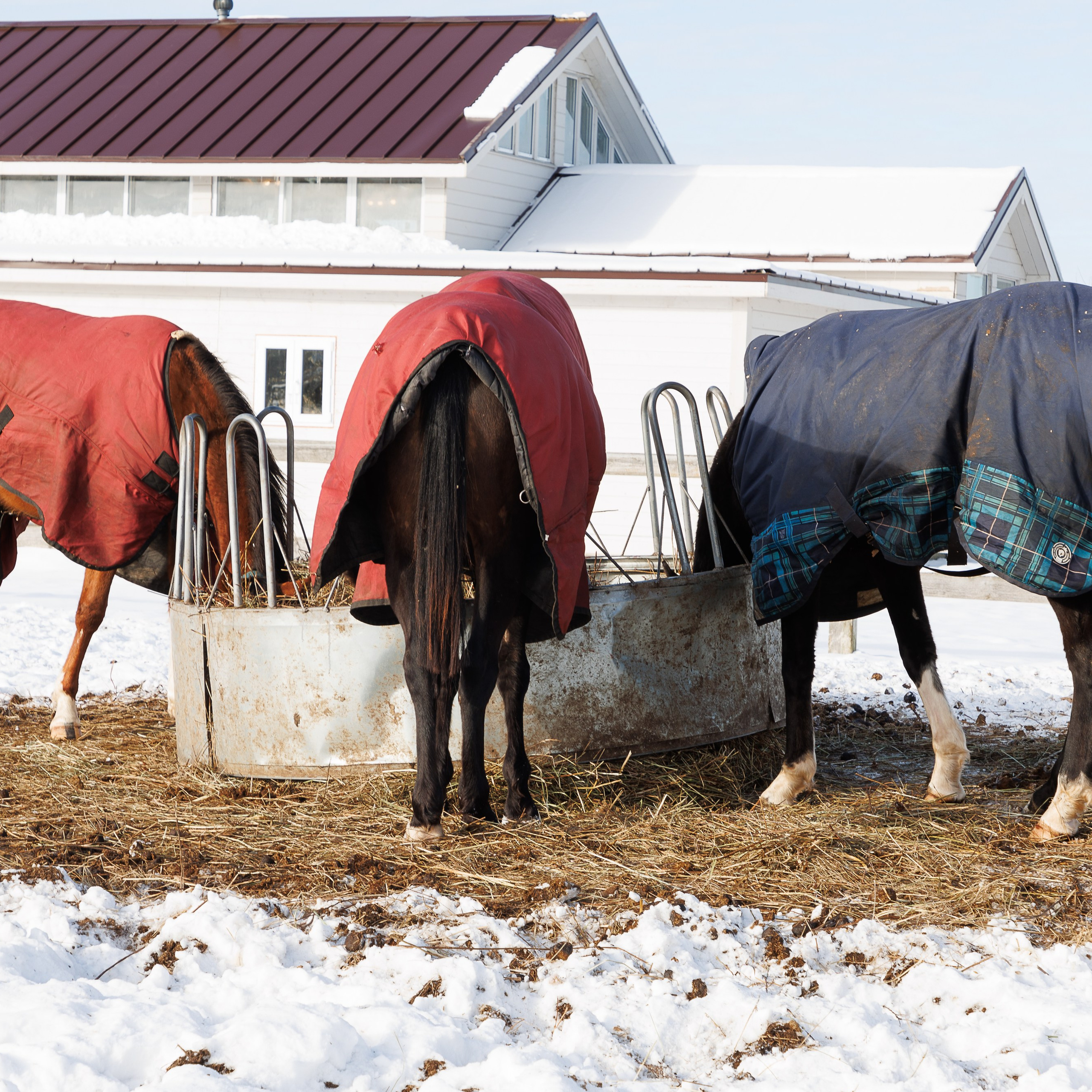 Поло 2024. Главная