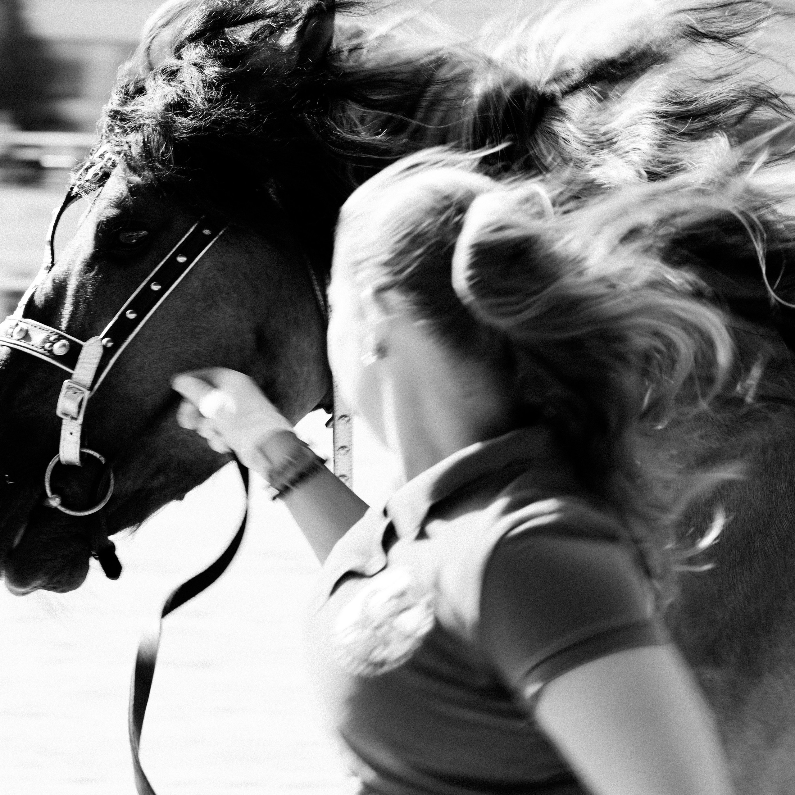 Эквирос 2025. Главная