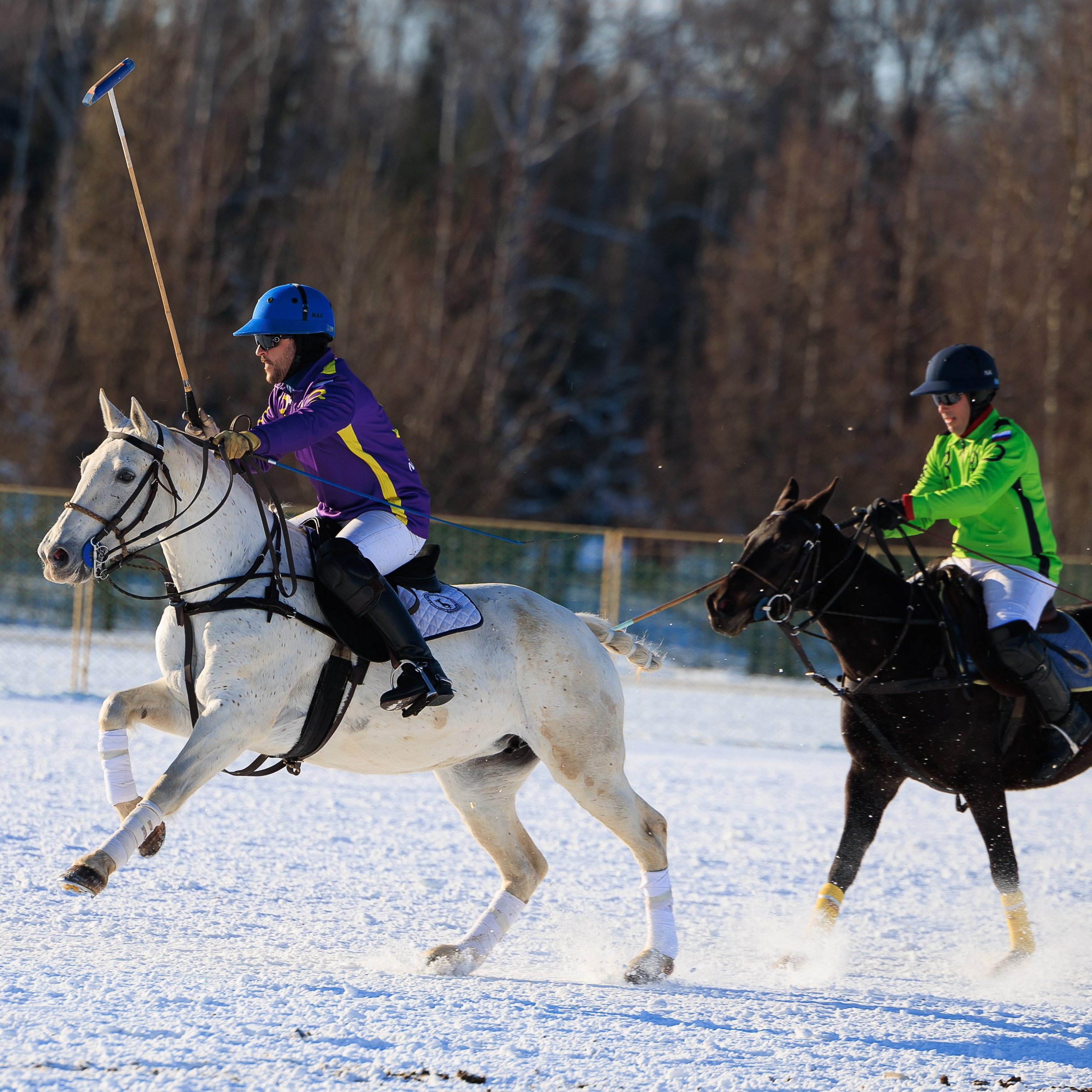 Поло 2024. Главная