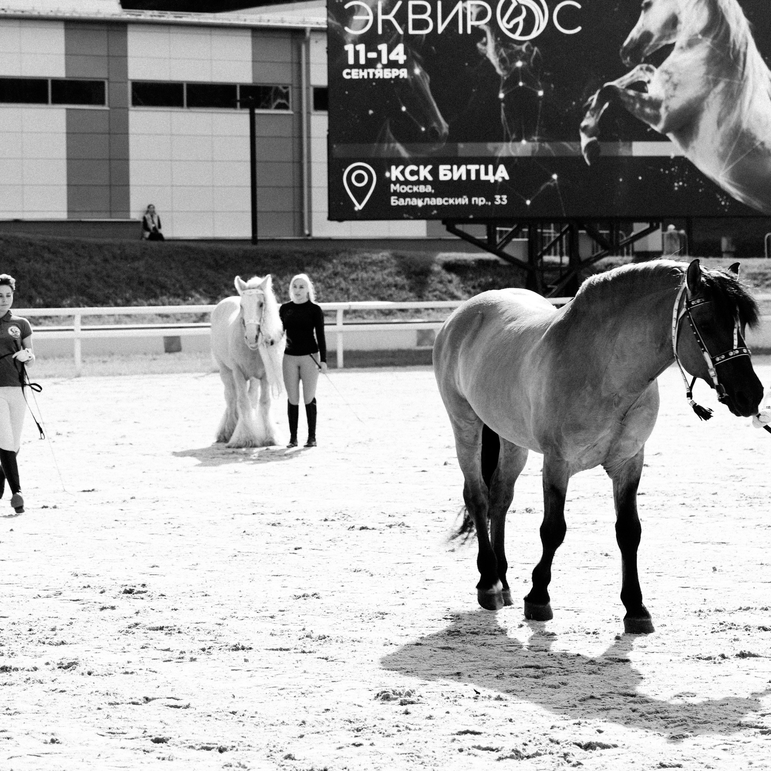 Эквирос 2025. Главная